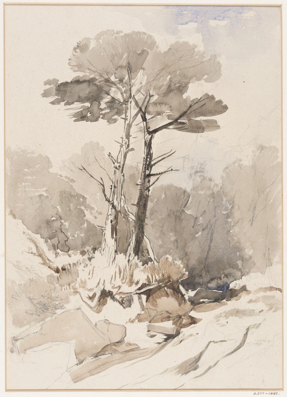 Drawing