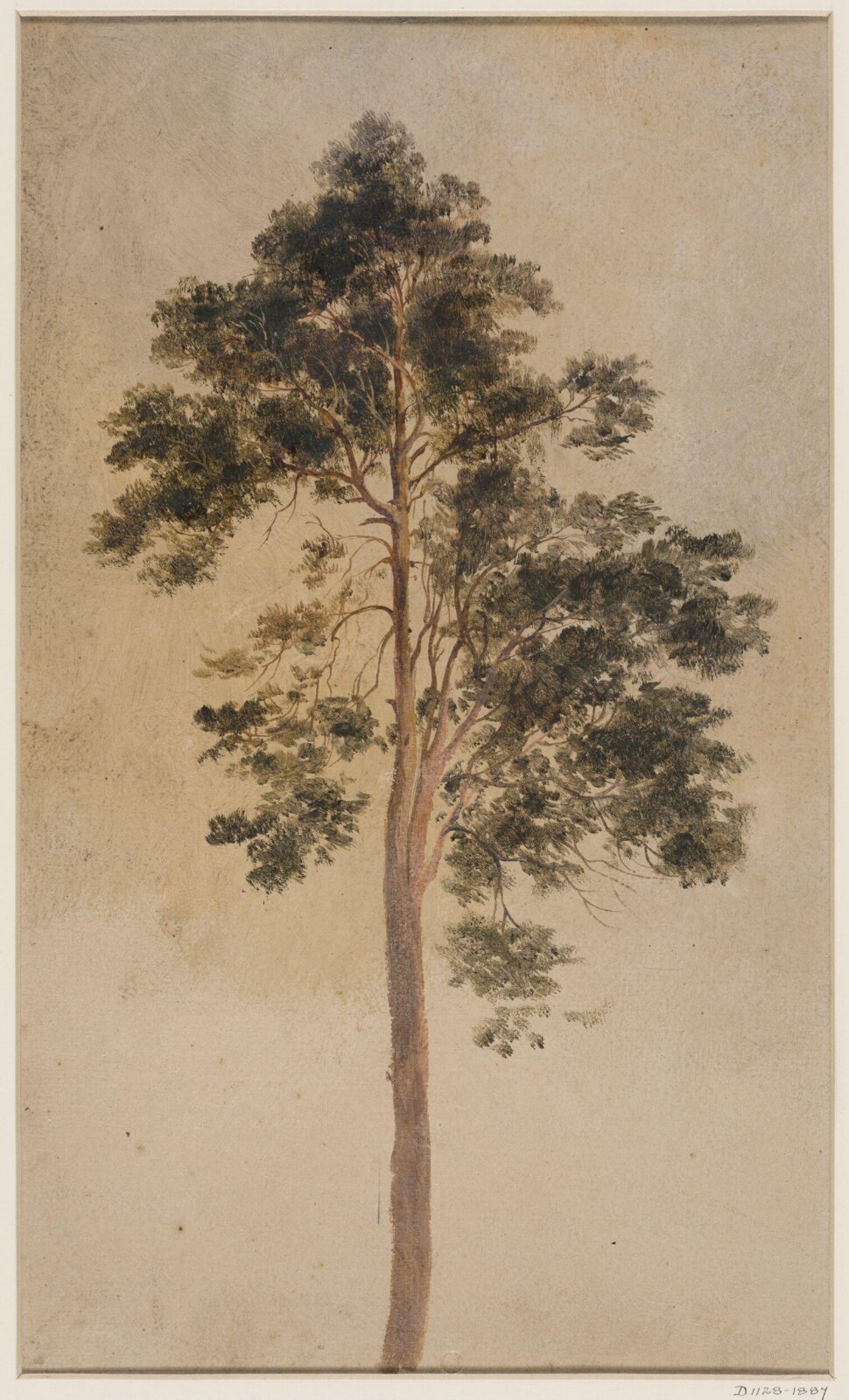 Drawing