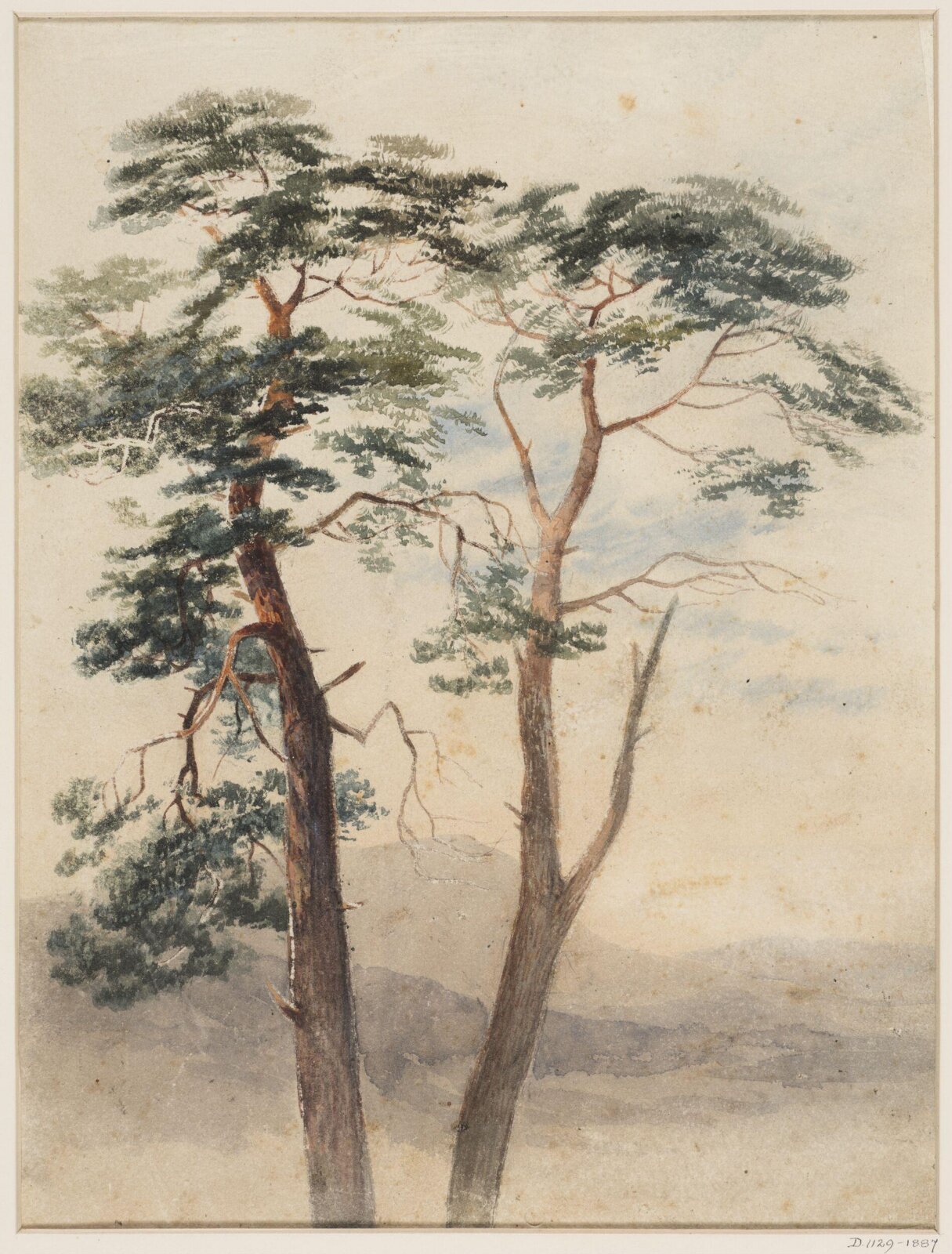Drawing