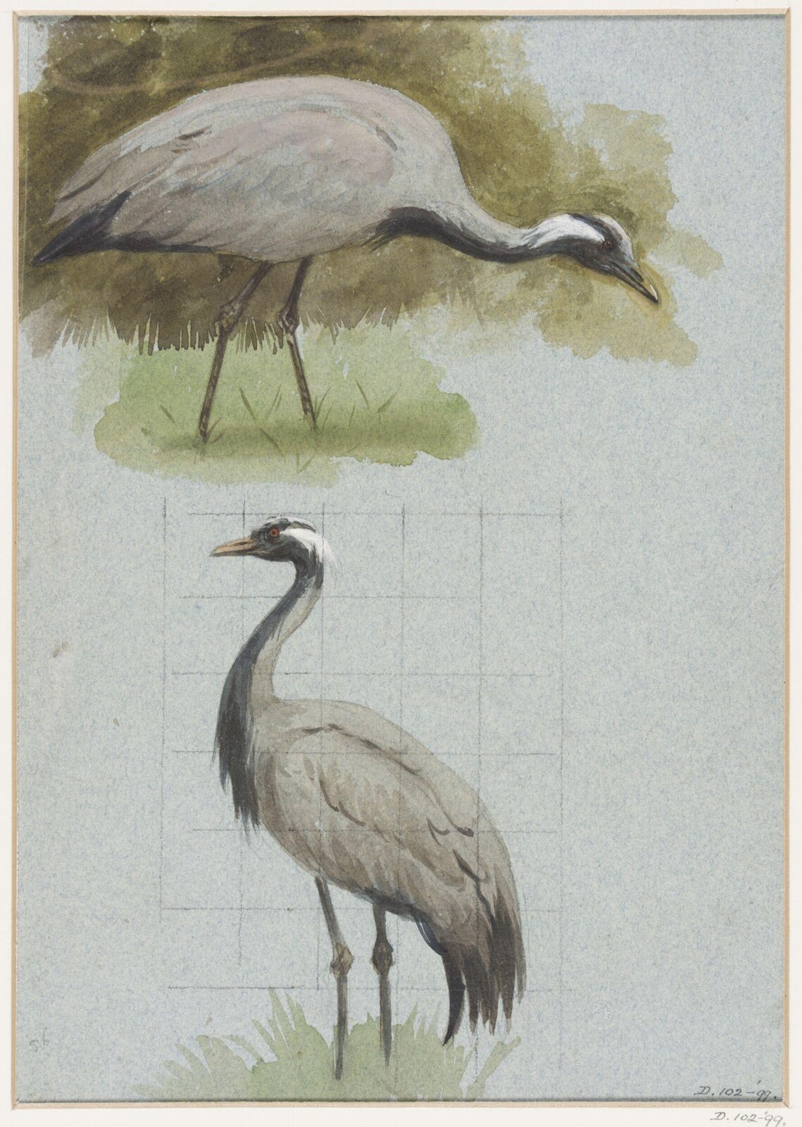 Drawing