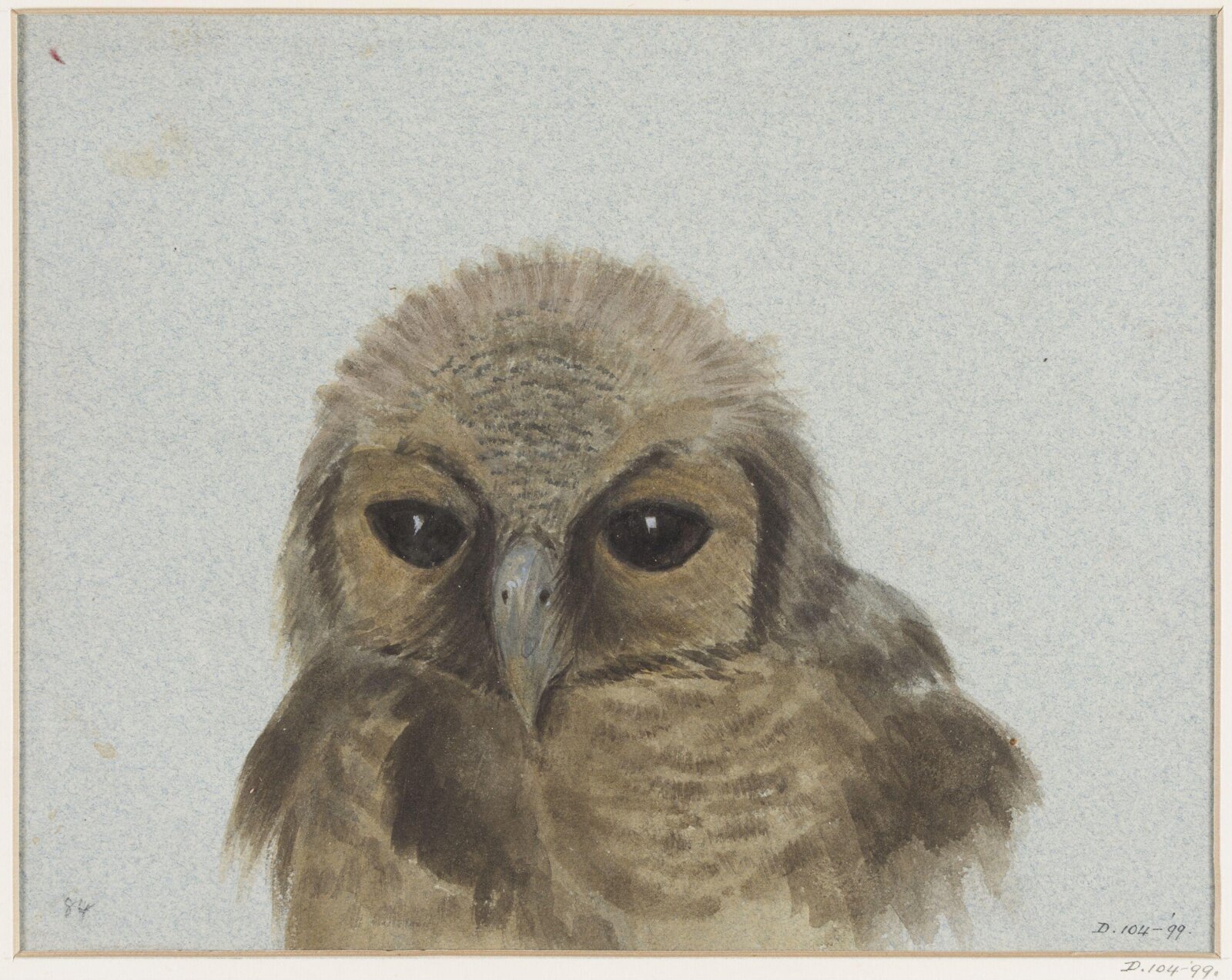 Drawing