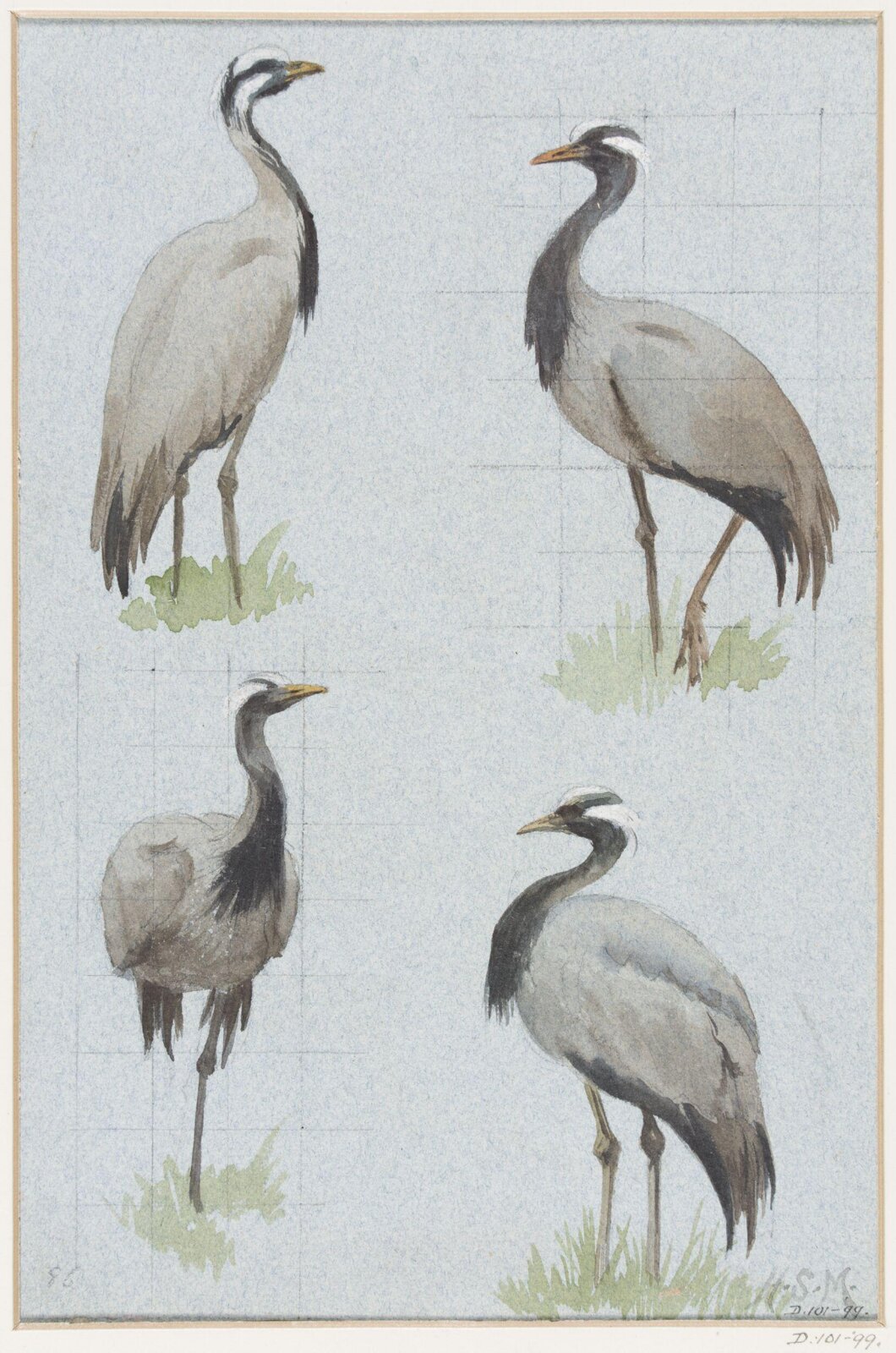 Drawing