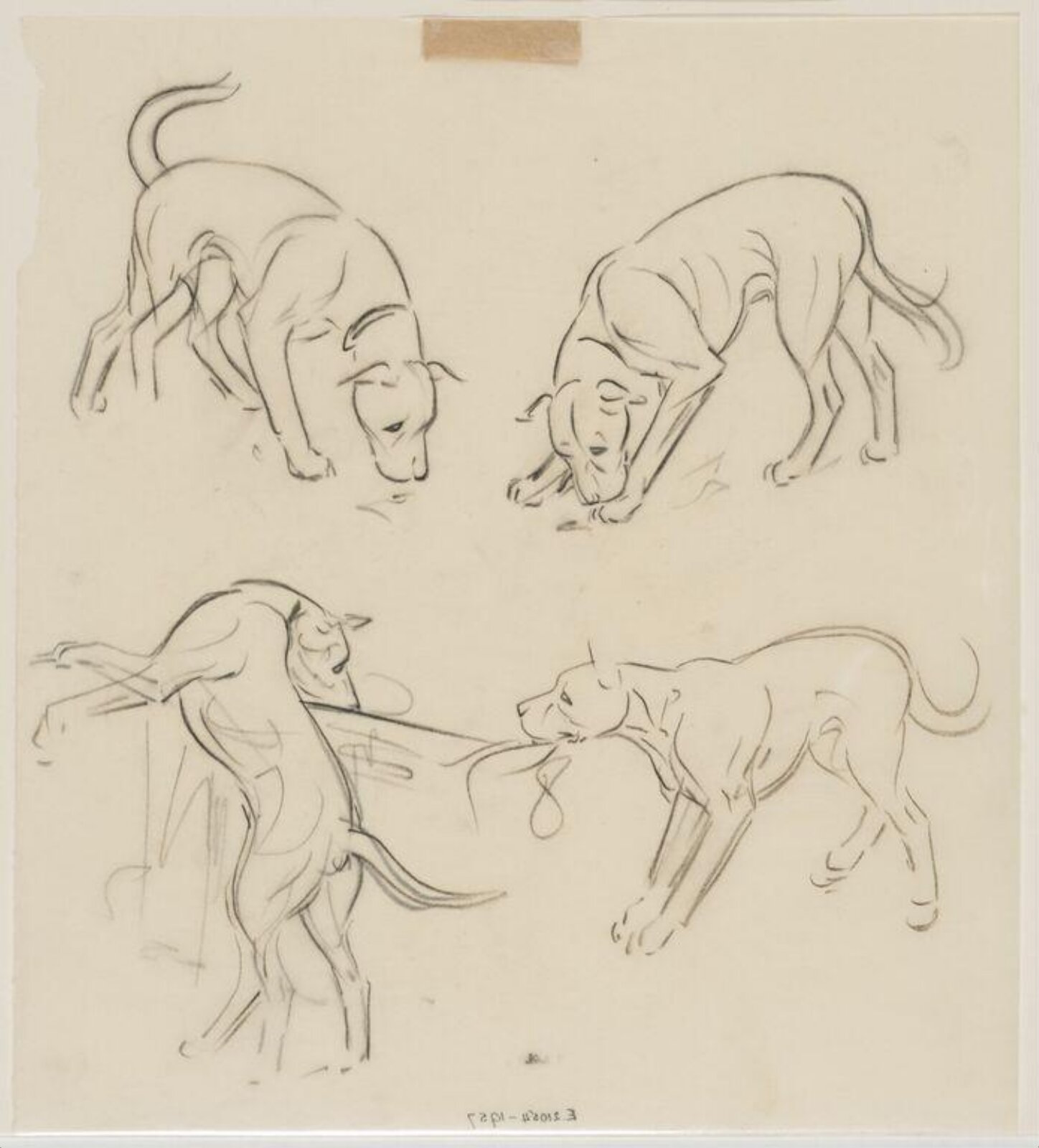 Drawing, Carton Moore-Park
