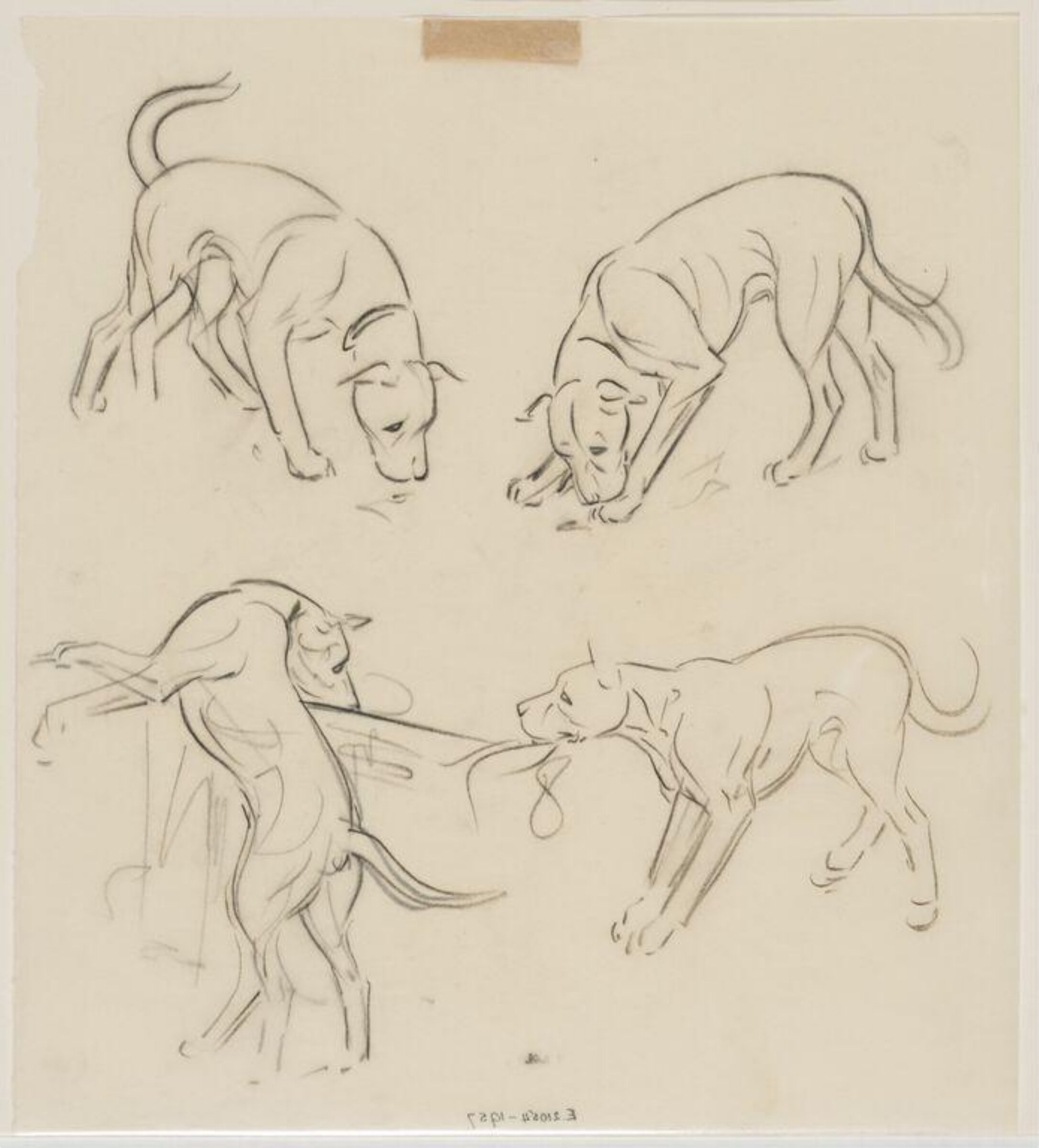 Drawing, Carton Moore-Park