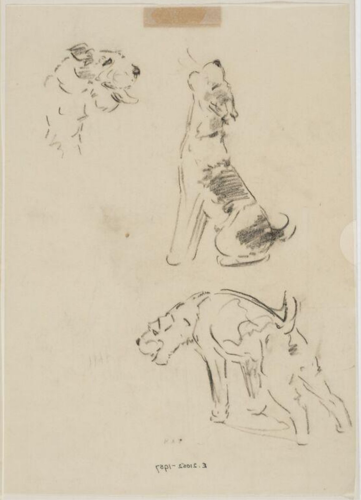 Drawing, Carton Moore-Park