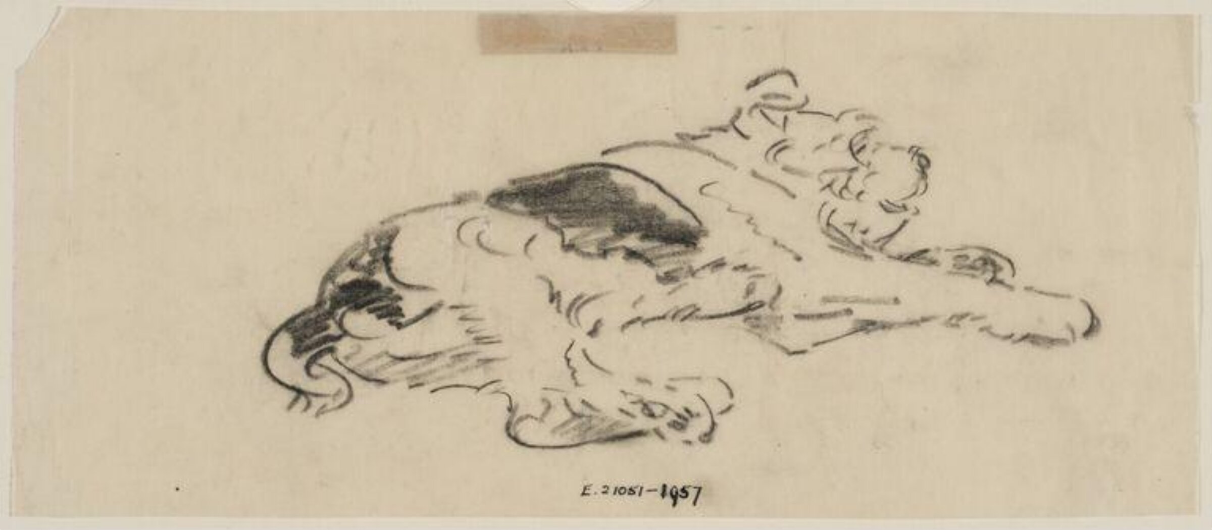 Drawing, Carton Moore-Park