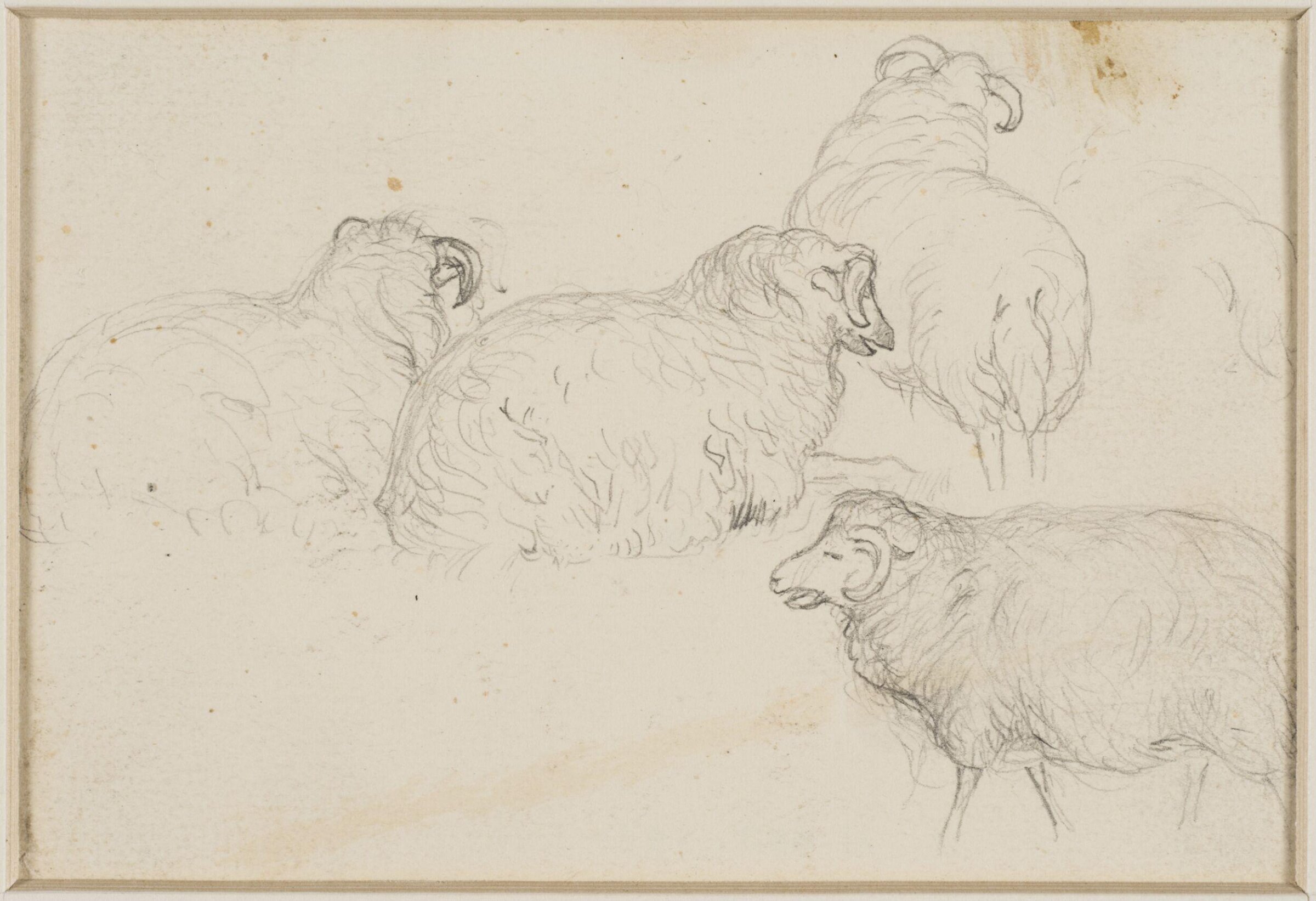 One of four studies of sheep and cattle, George Harvey, ca. 1826-1876