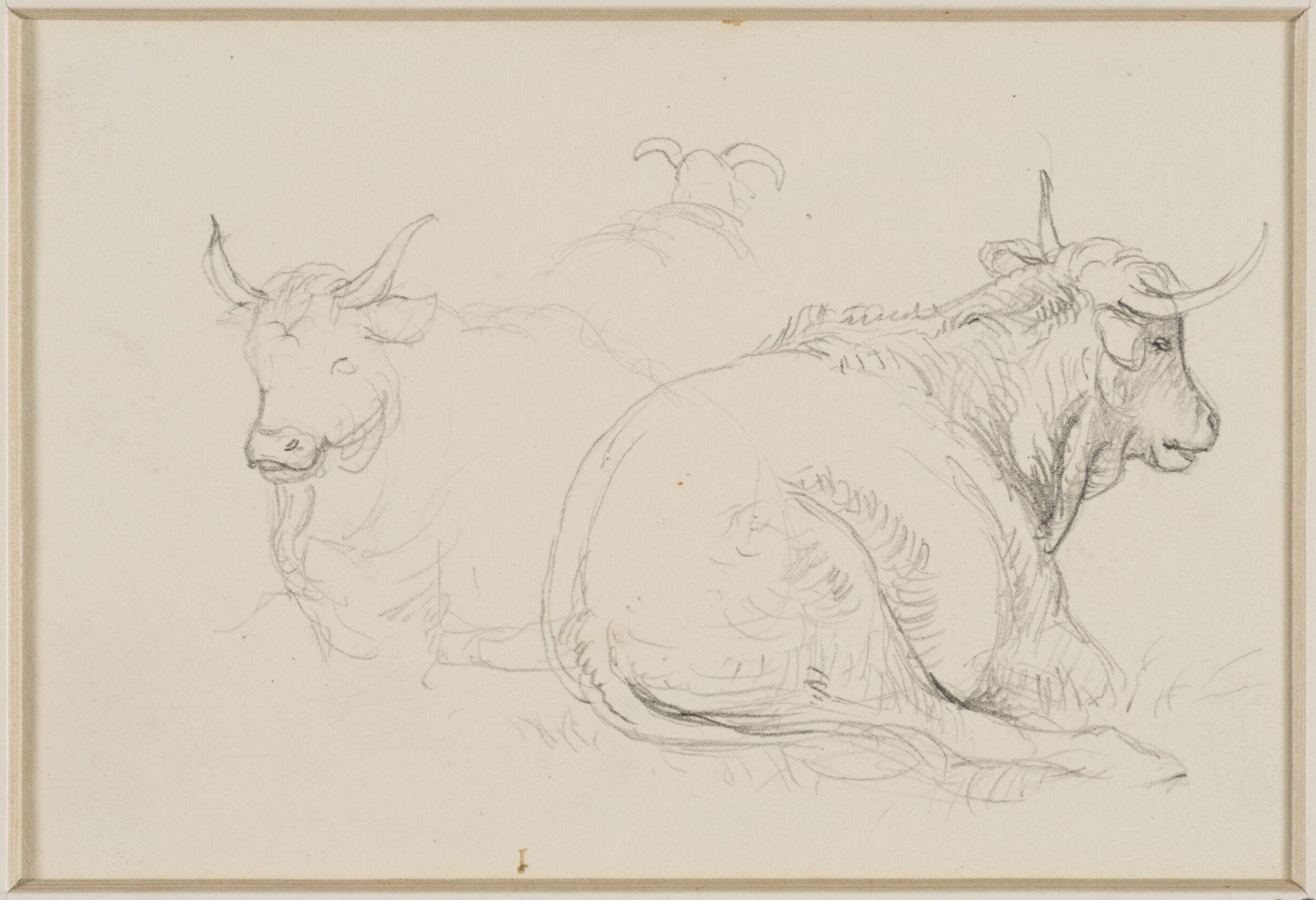 One of four studies of sheep and cattle, George Harvey, ca. 1826-1876