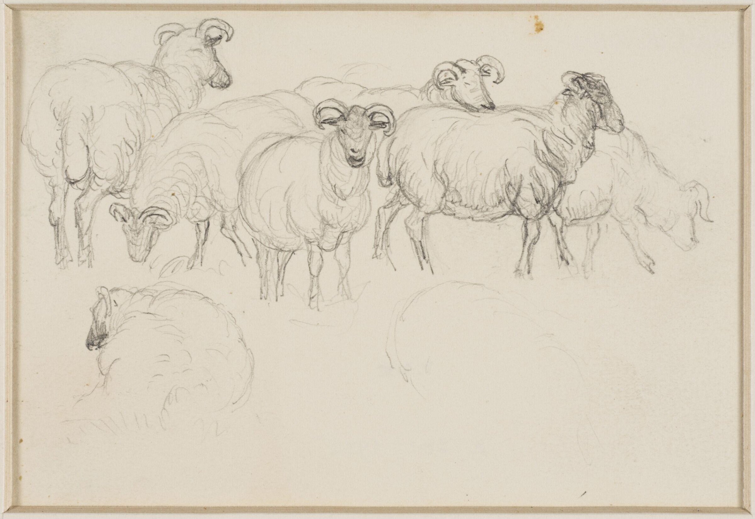 One of four studies of sheep and cattle, George Harvey, ca. 1826-1876