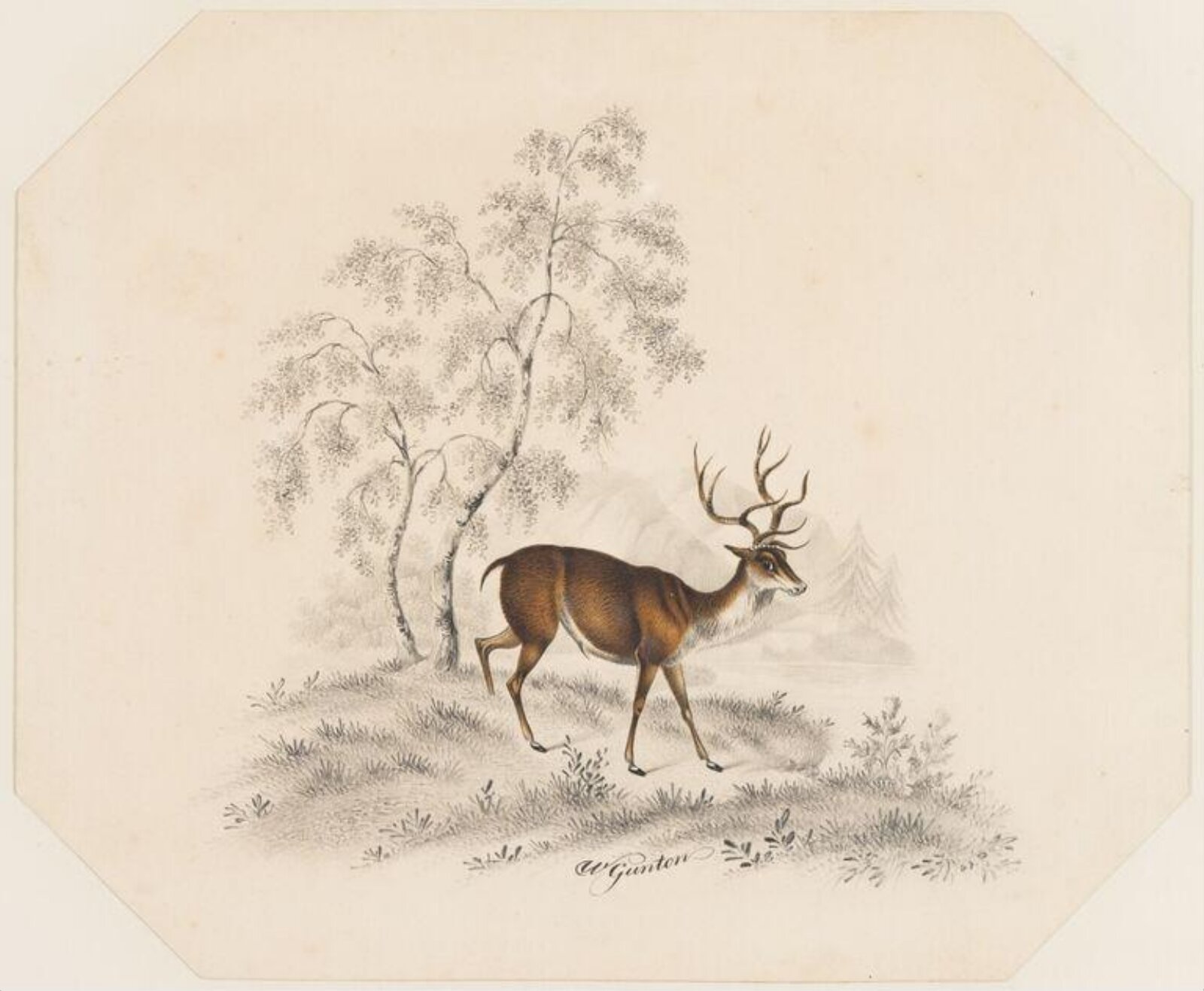 Drawing