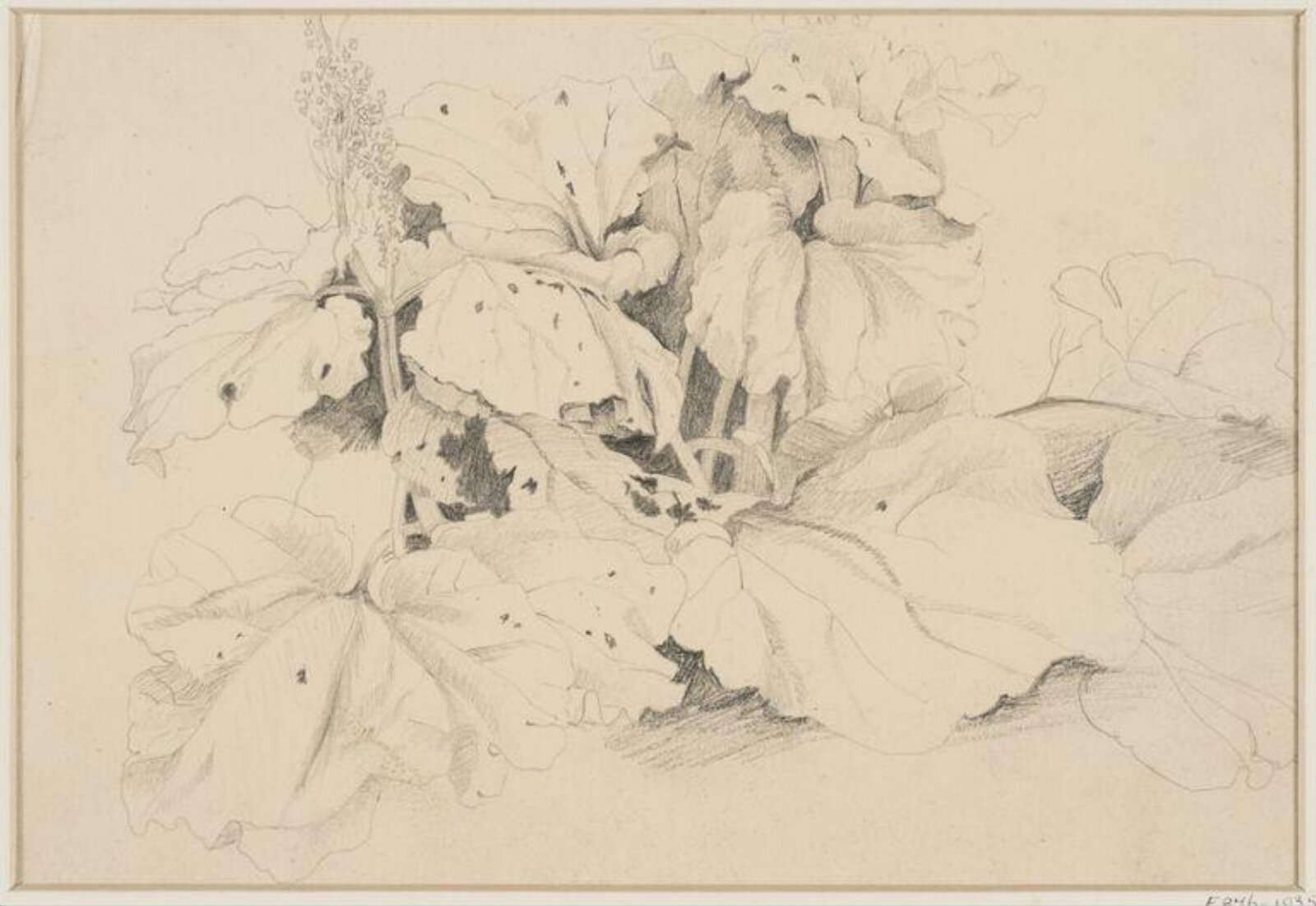 Drawing
