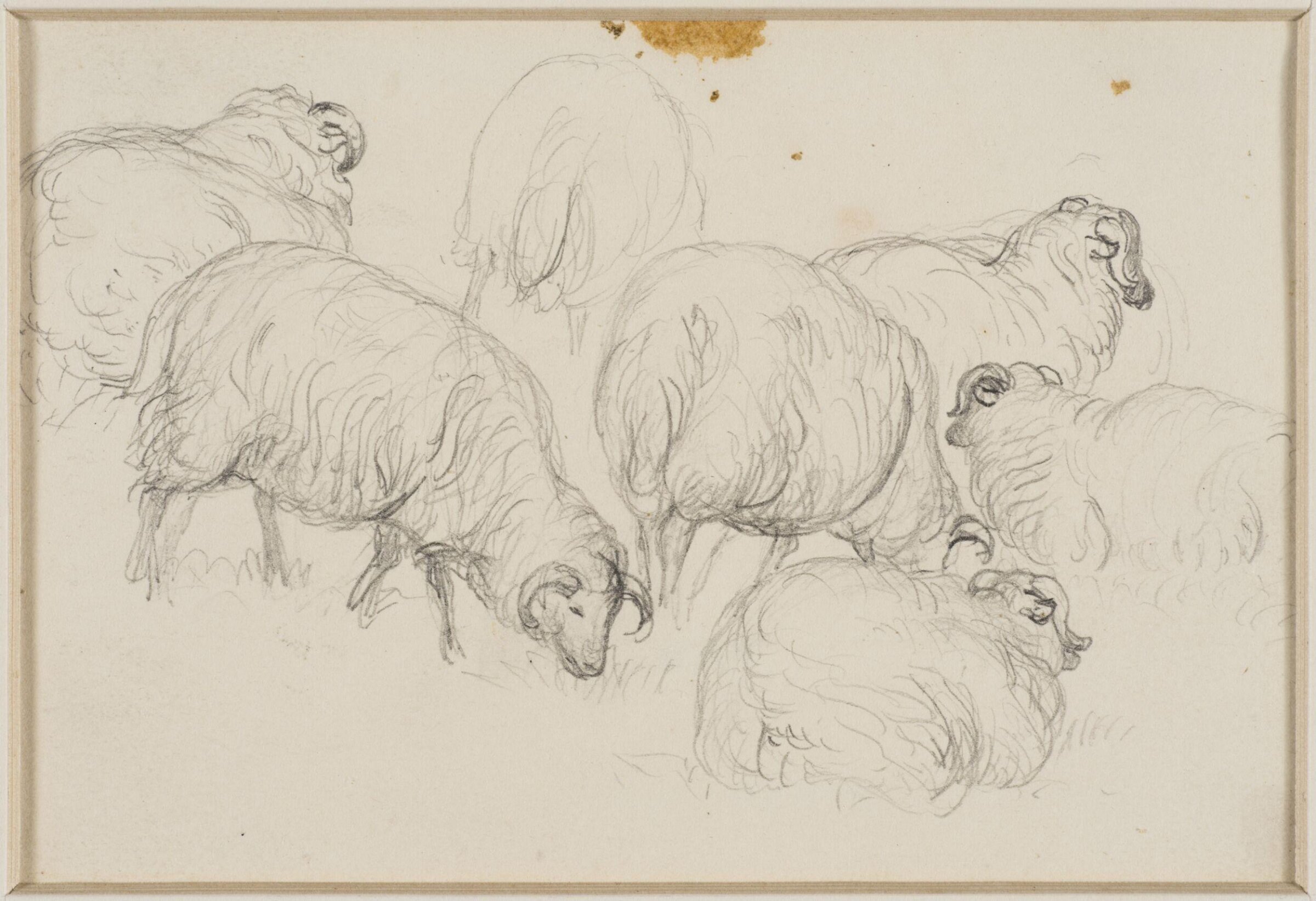 One of four studies of sheep and cattle, George Harvey, ca. 1826-1876