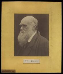 Charles Darwin thumbnail 1