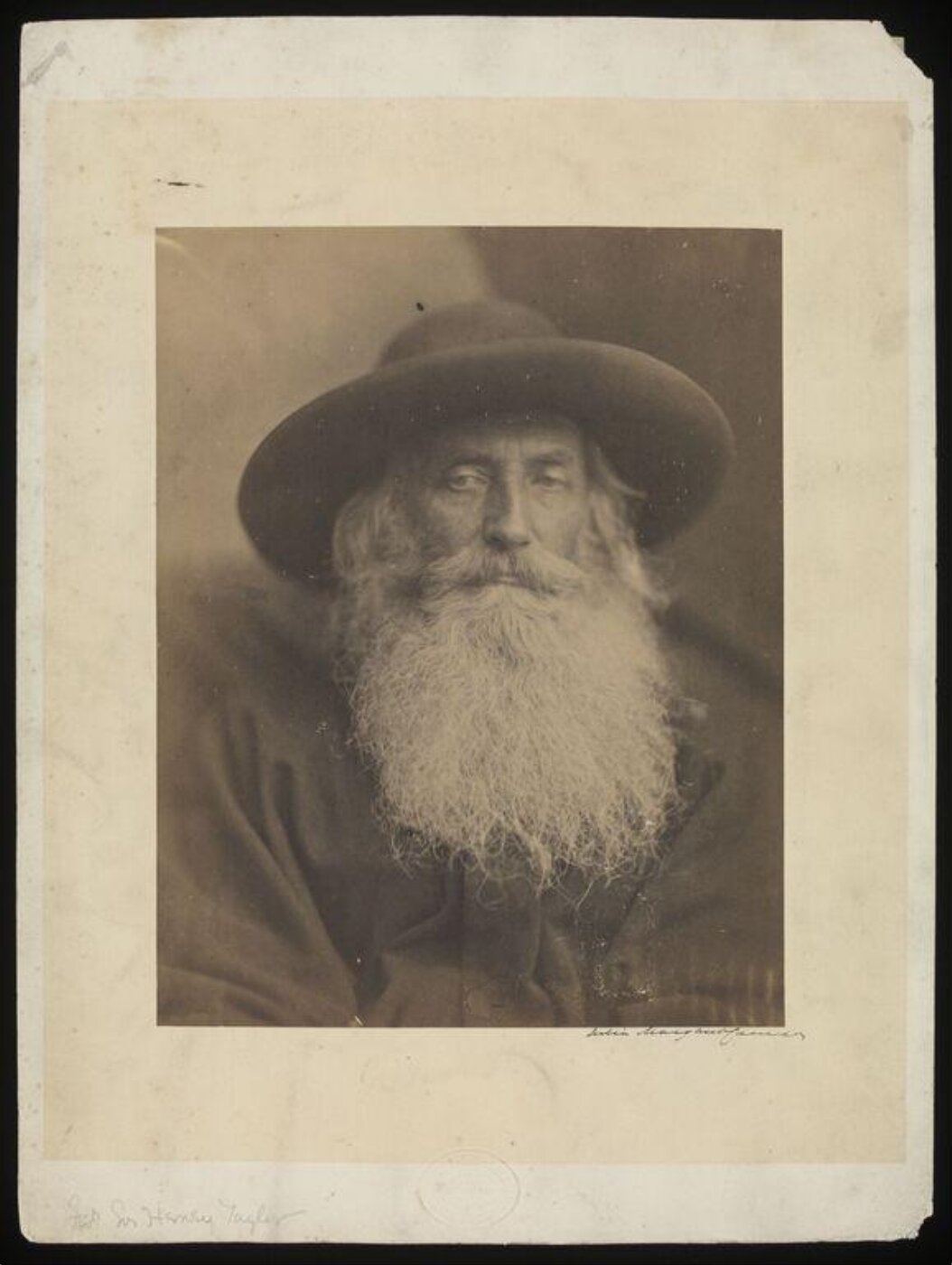 Cameron, Julia Margaret, Henry Taylor