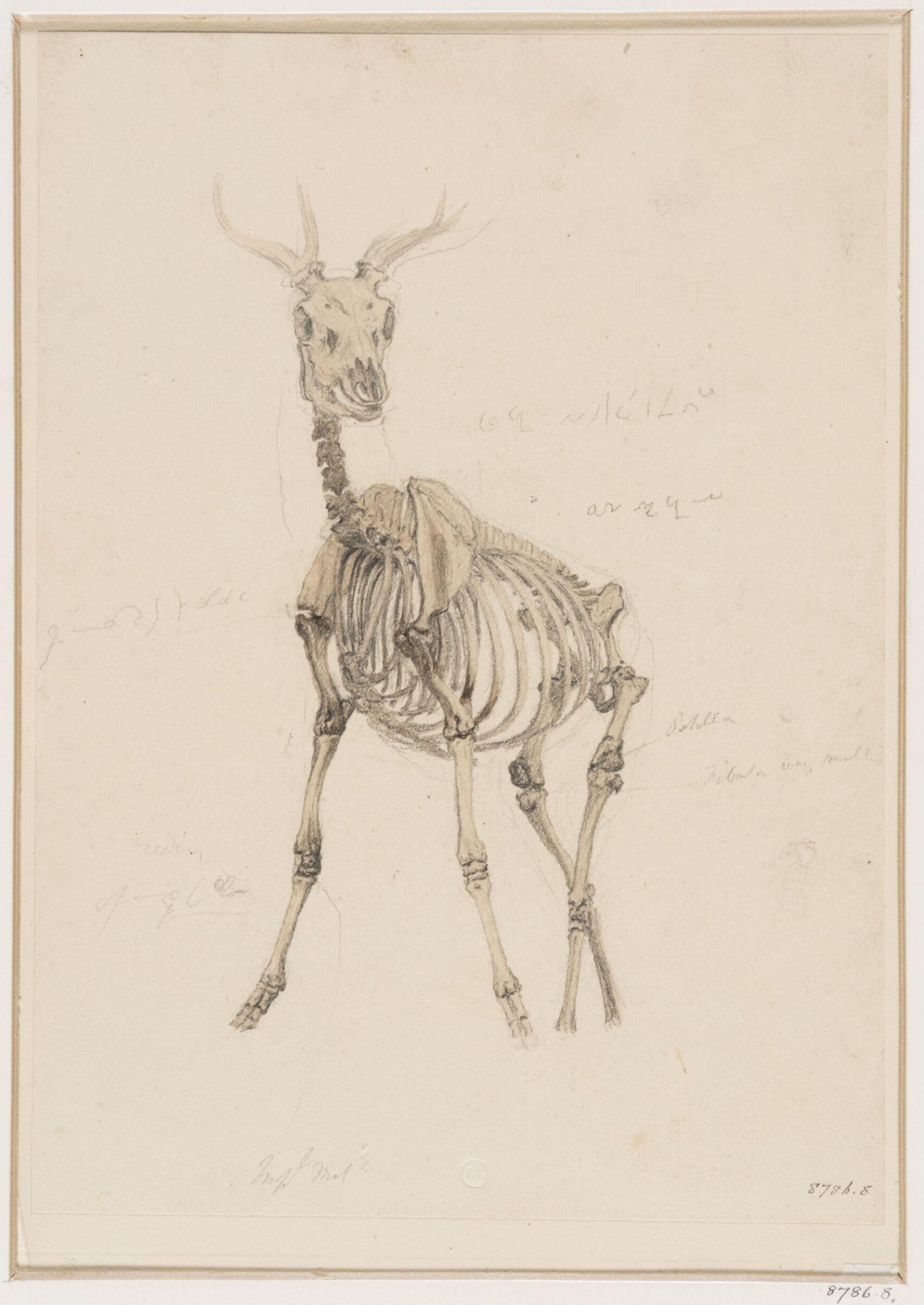 Drawing, Robert Hills, c. 1789-1844