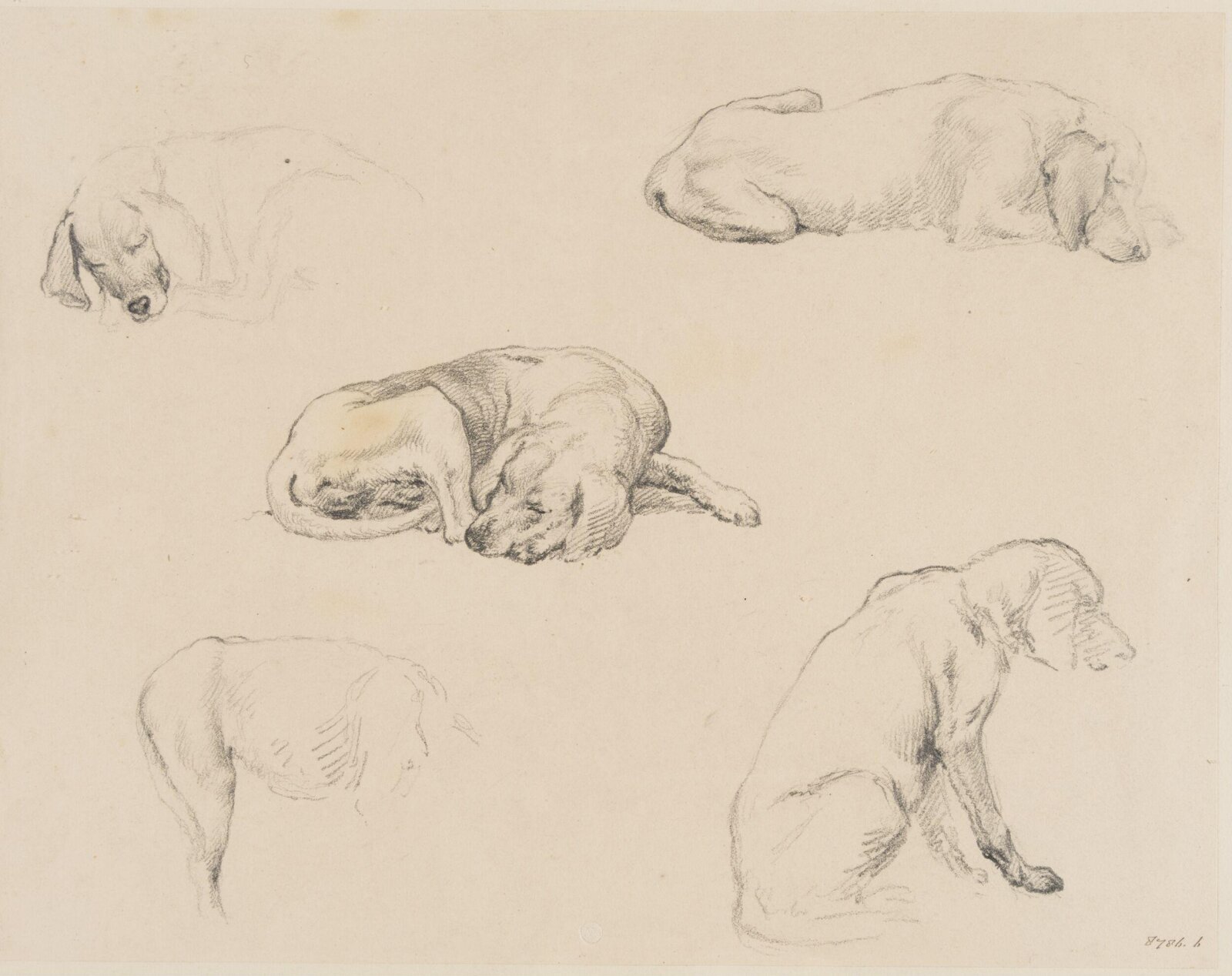 Drawing, Robert Hills, c. 1789-1844