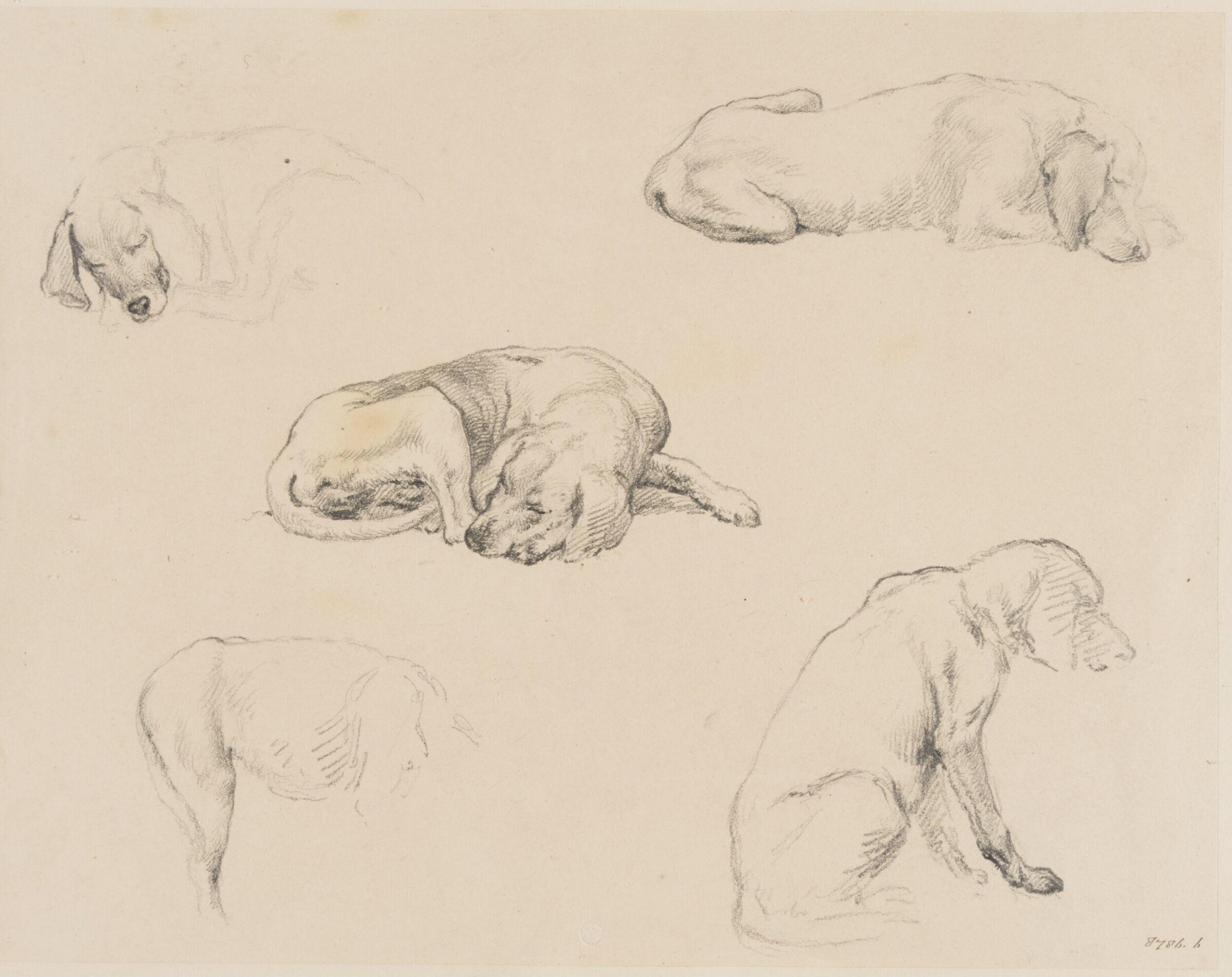 Drawing, Robert Hills, c. 1789-1844