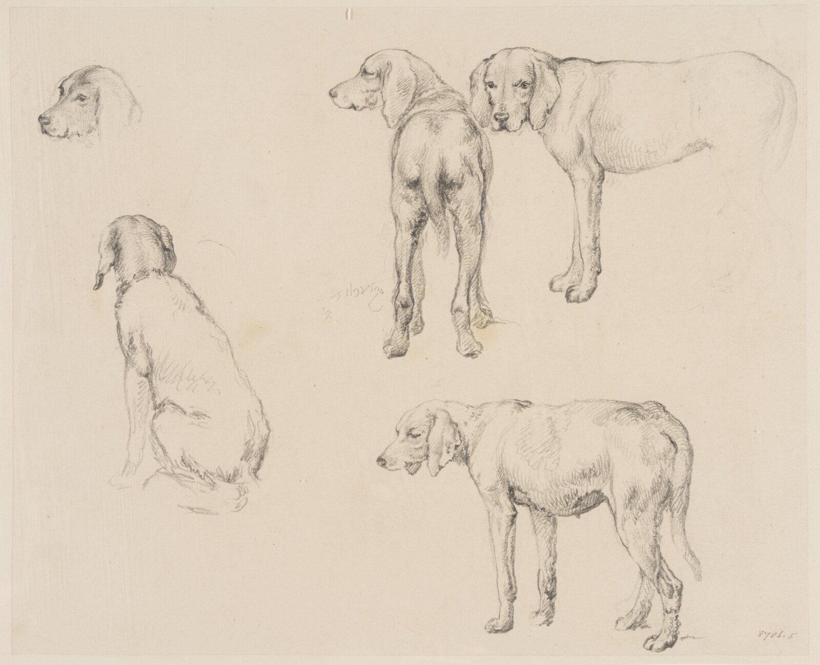 Drawing, Robert Hills, c. 1789-1844