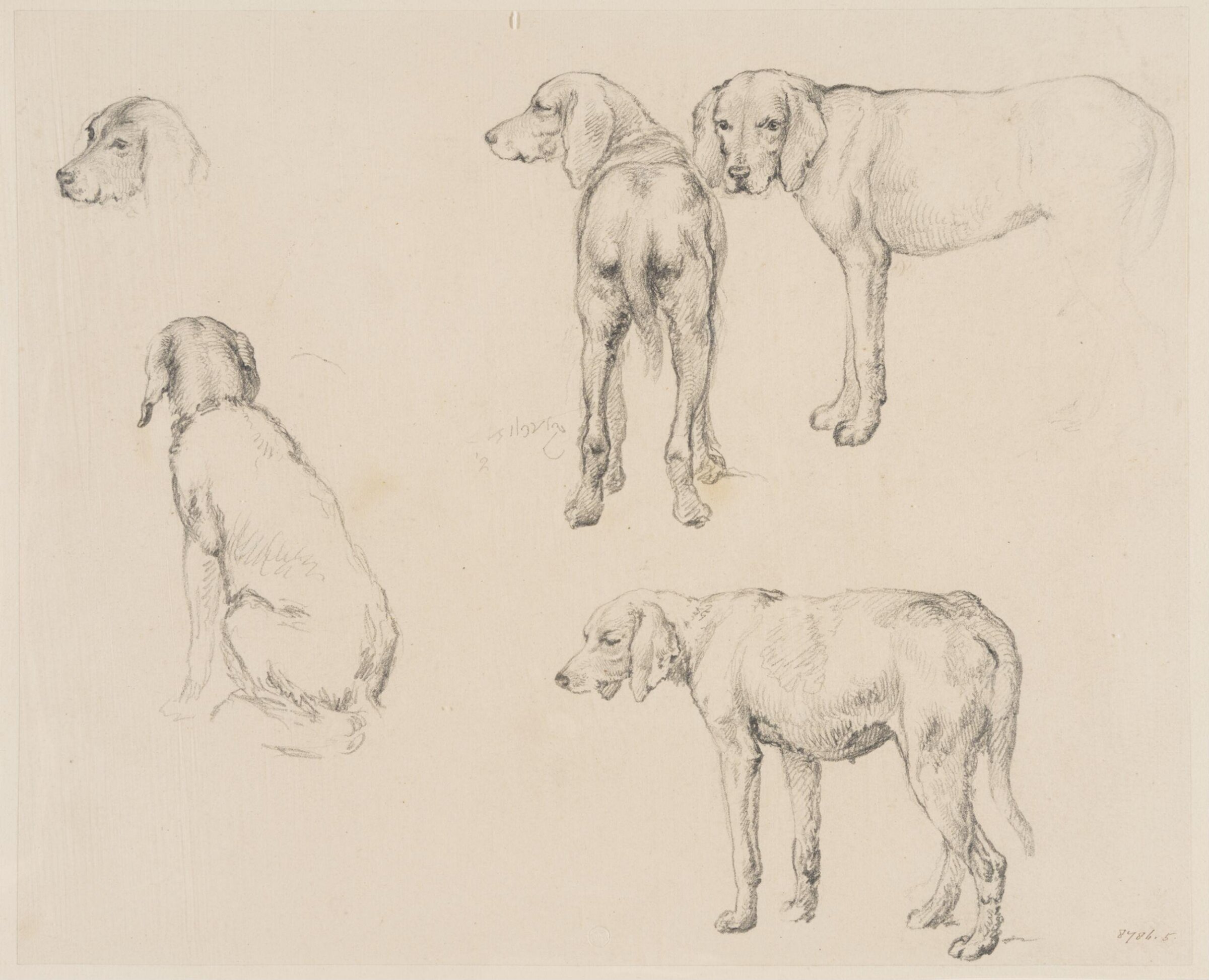 Drawing, Robert Hills, c. 1789-1844
