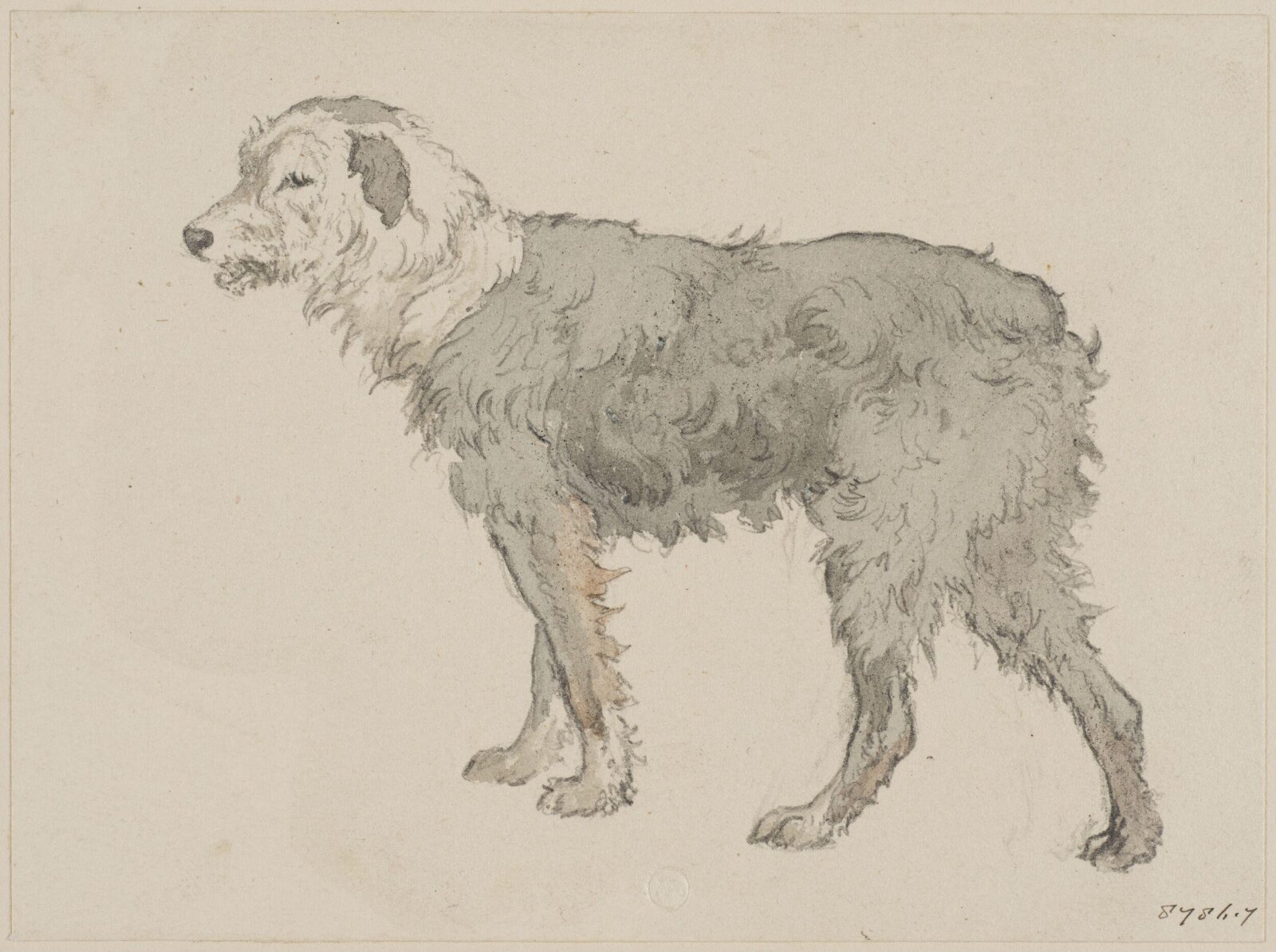 Drawing, Robert Hills, c. 1789-1844