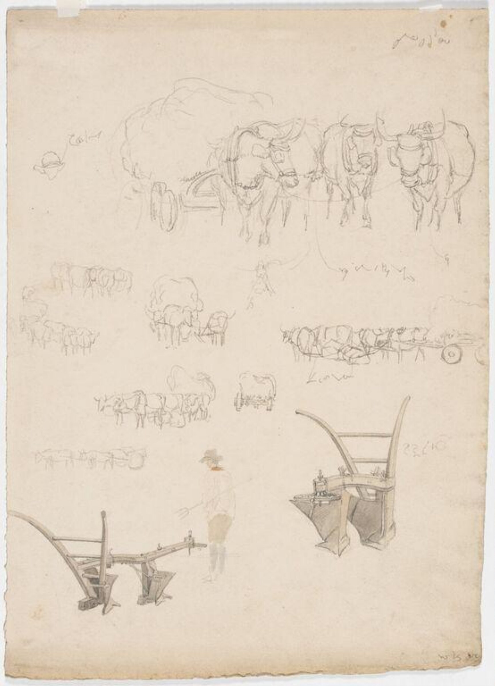 Drawing, Robert Hills, c. 1798