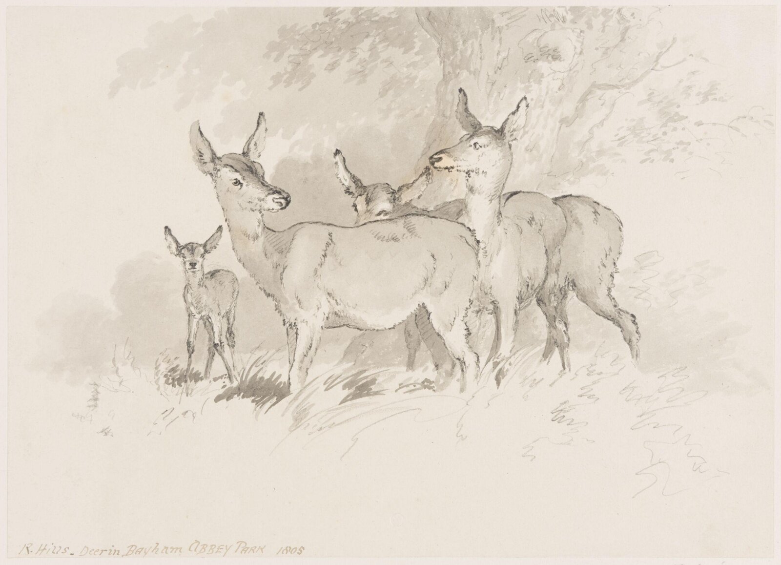 Drawing