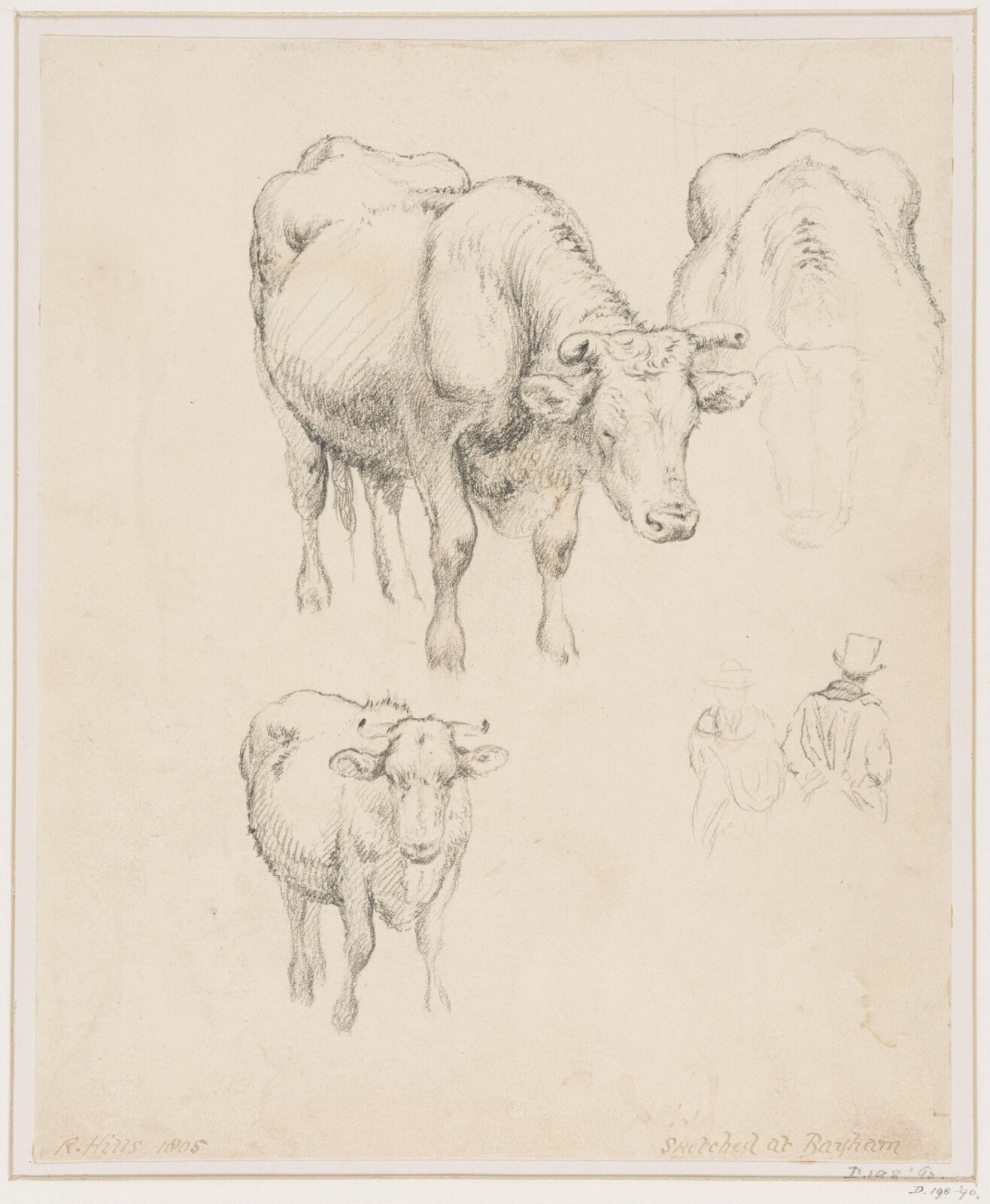Drawing