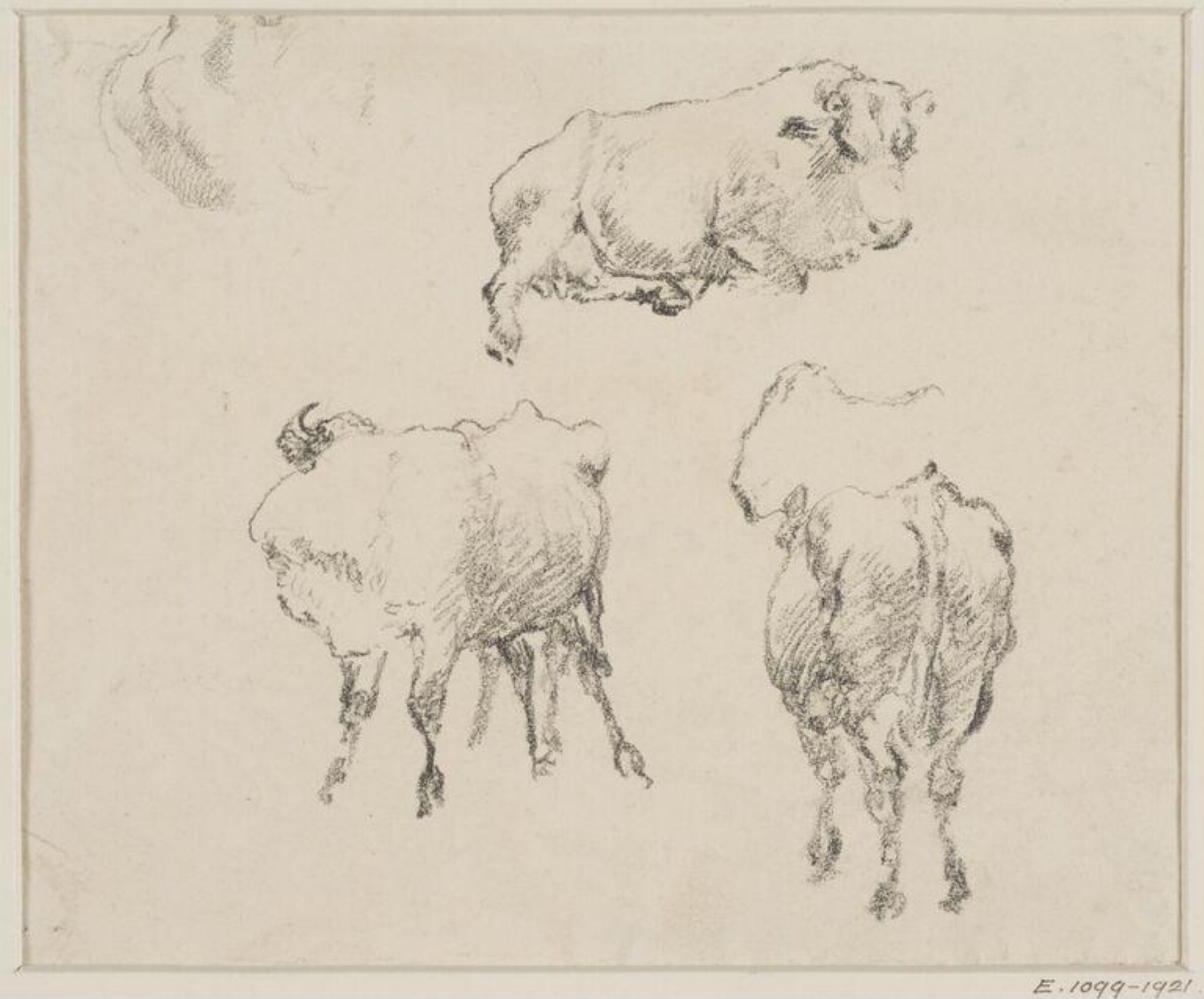 Drawing, Robert Hills, c. 1798