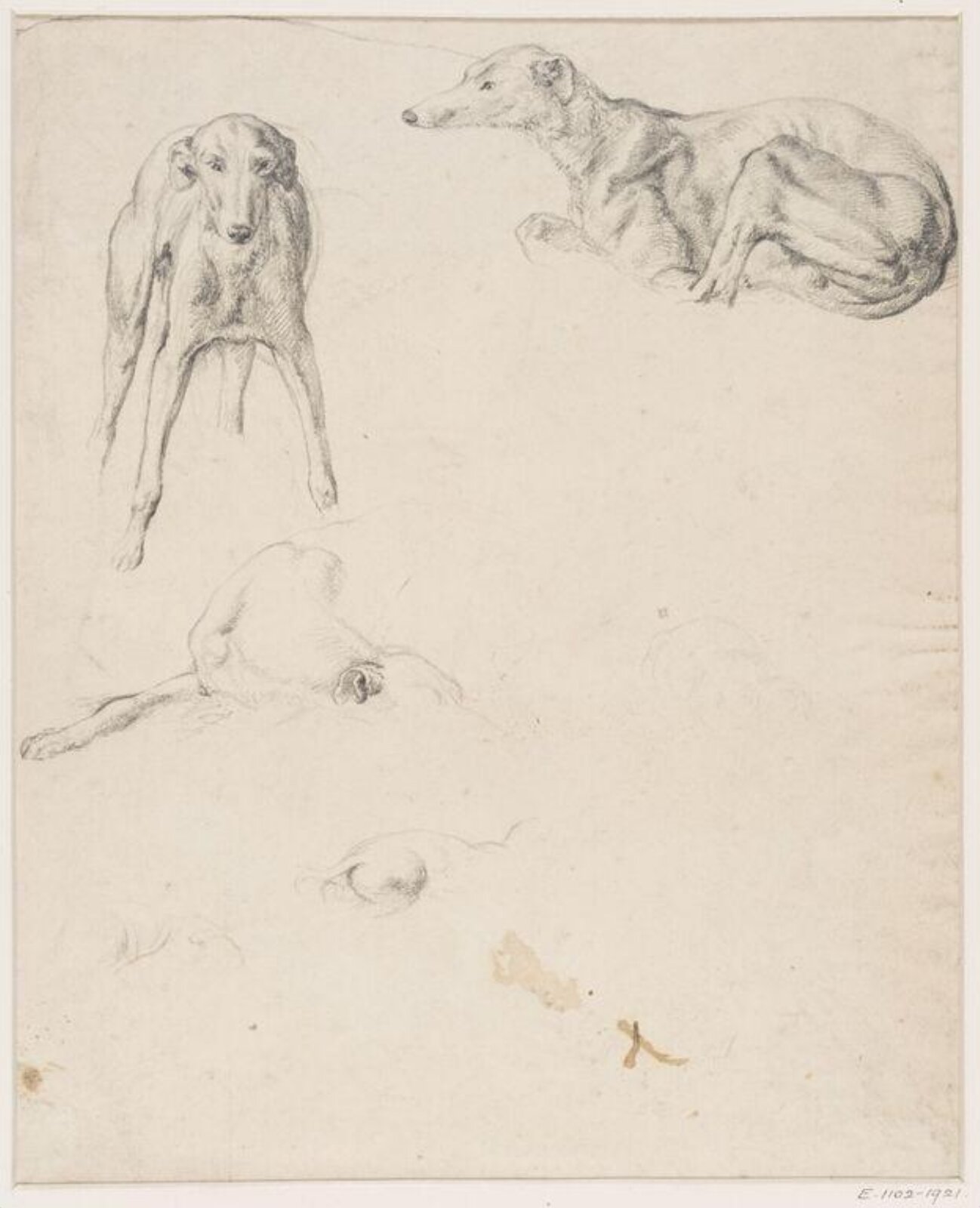 Drawing, Robert Hills, c. 1798