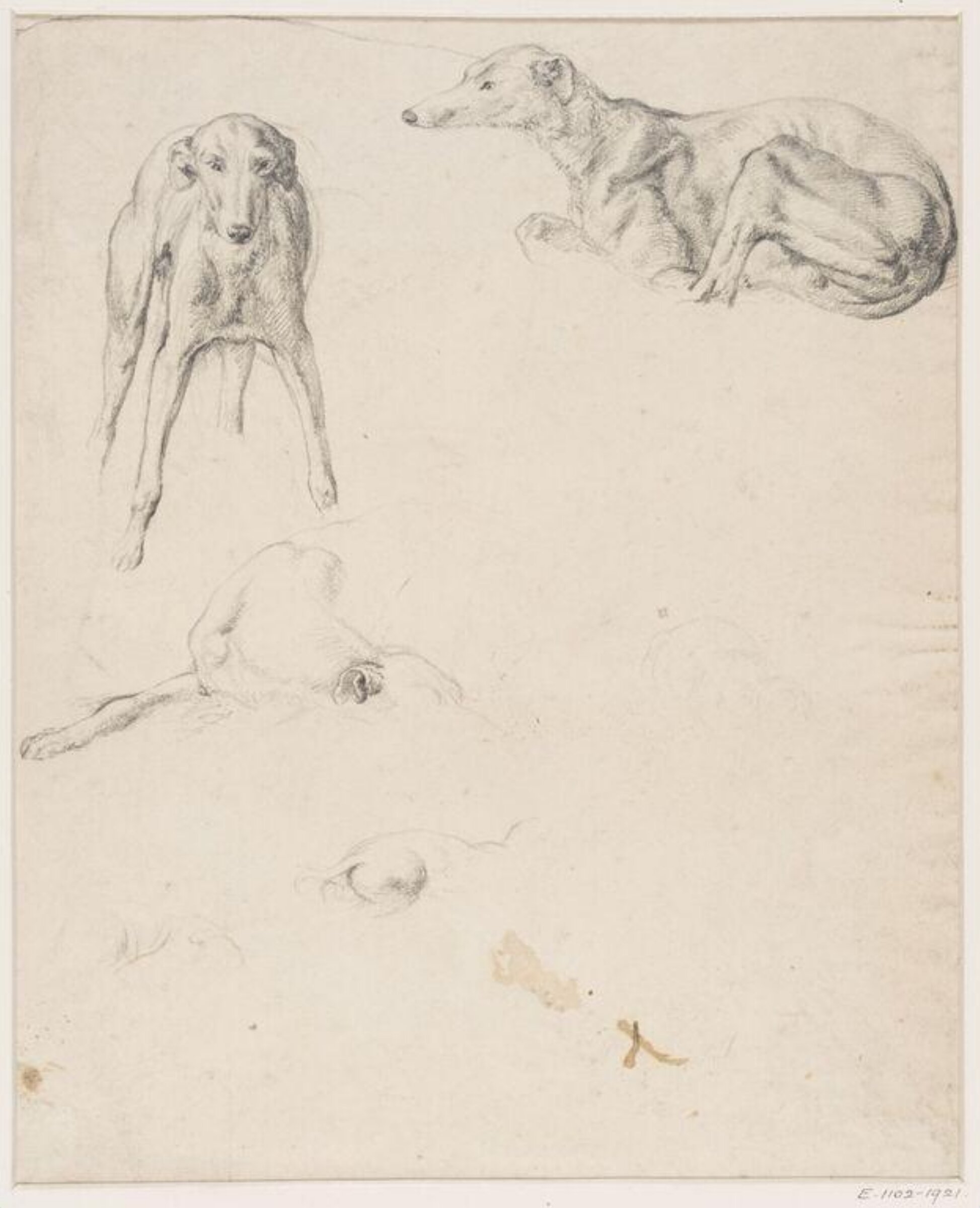 Drawing, Robert Hills, c. 1798