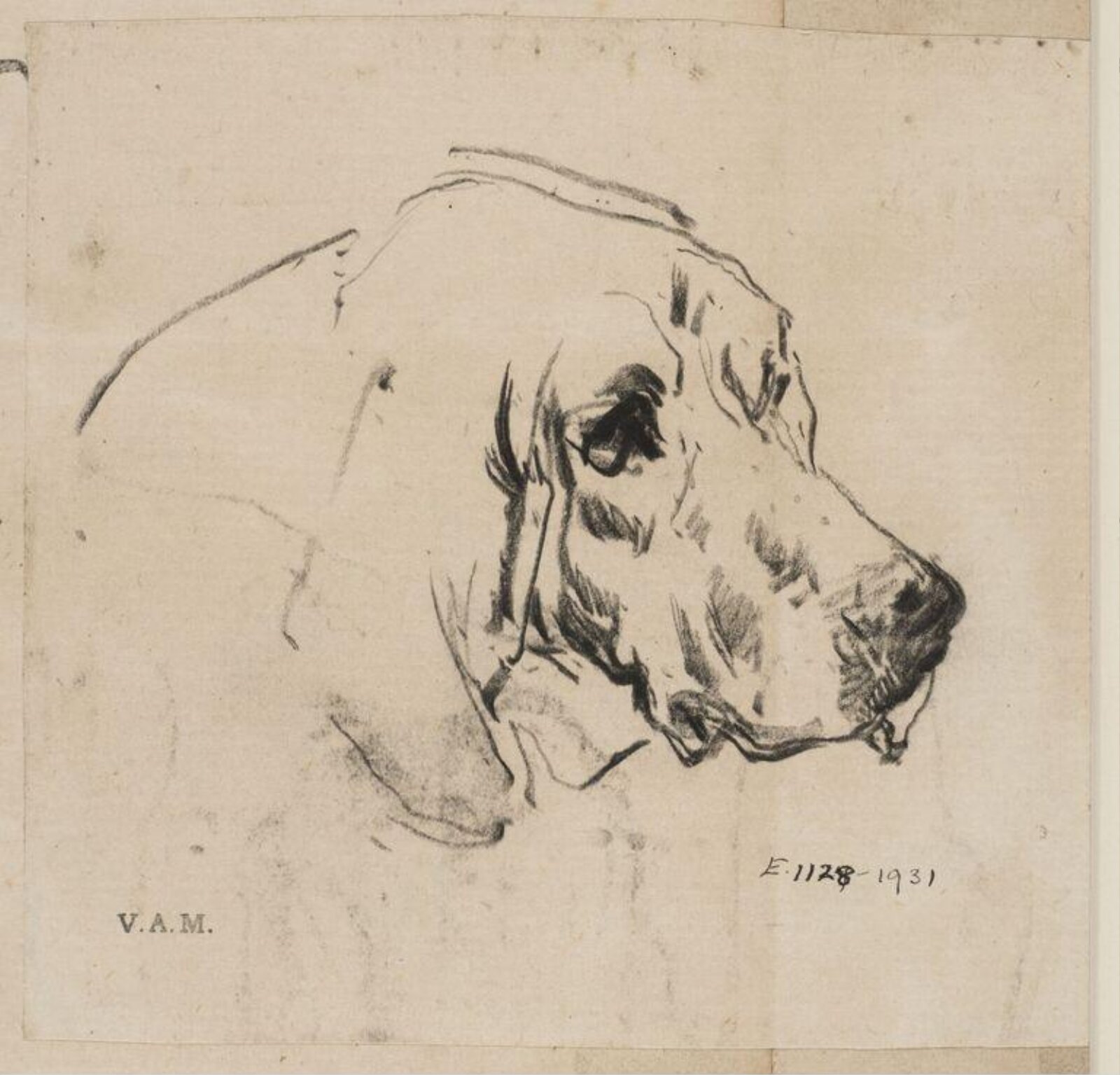 Drawing