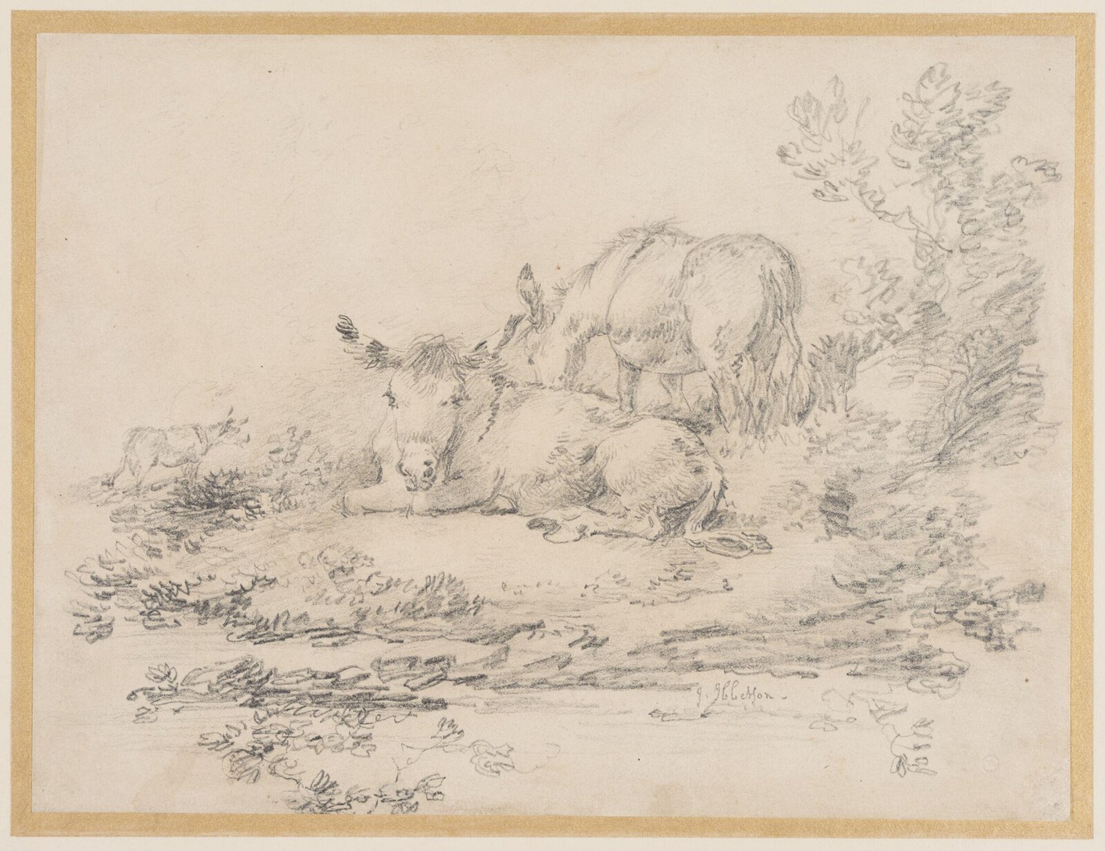 Drawing