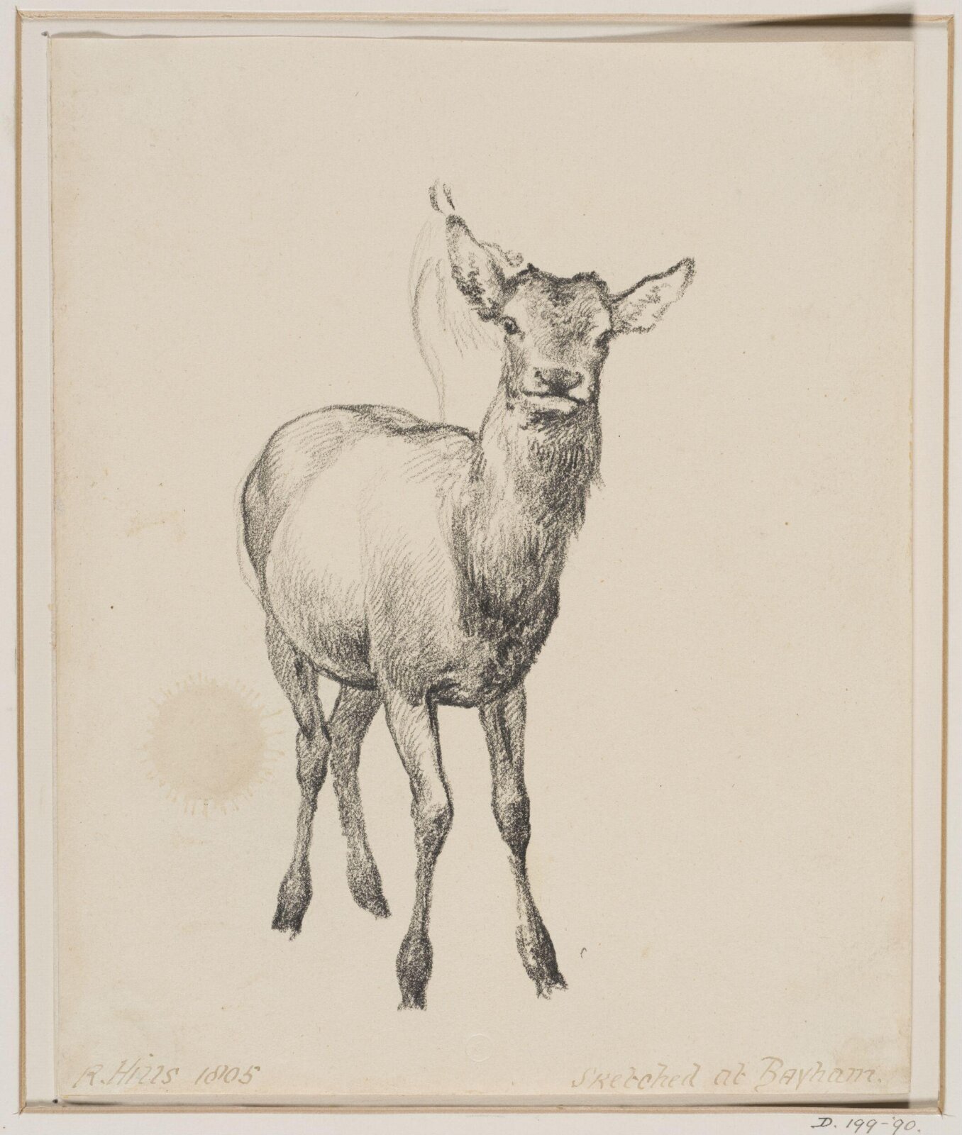 Drawing