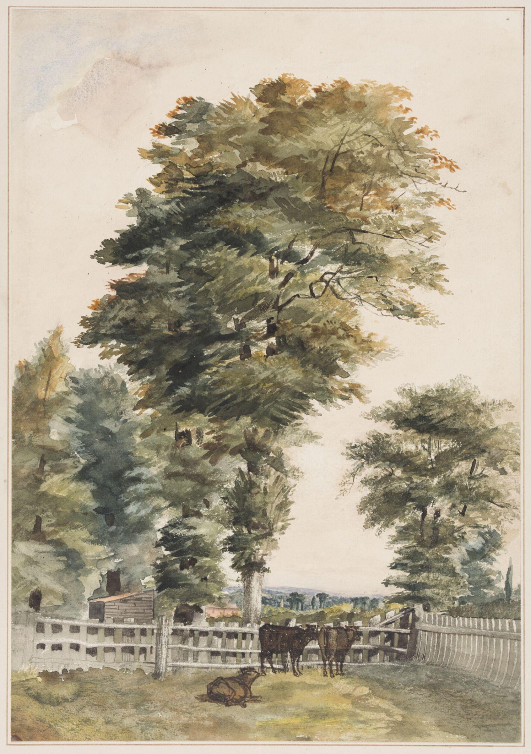 Drawing, Joseph Middleton Jopling, 1831-84