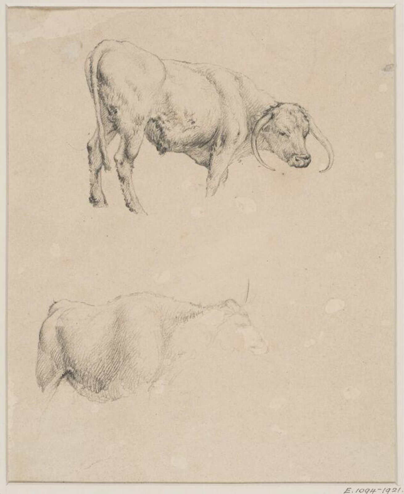 Drawing, Robert Hills, c. 1798