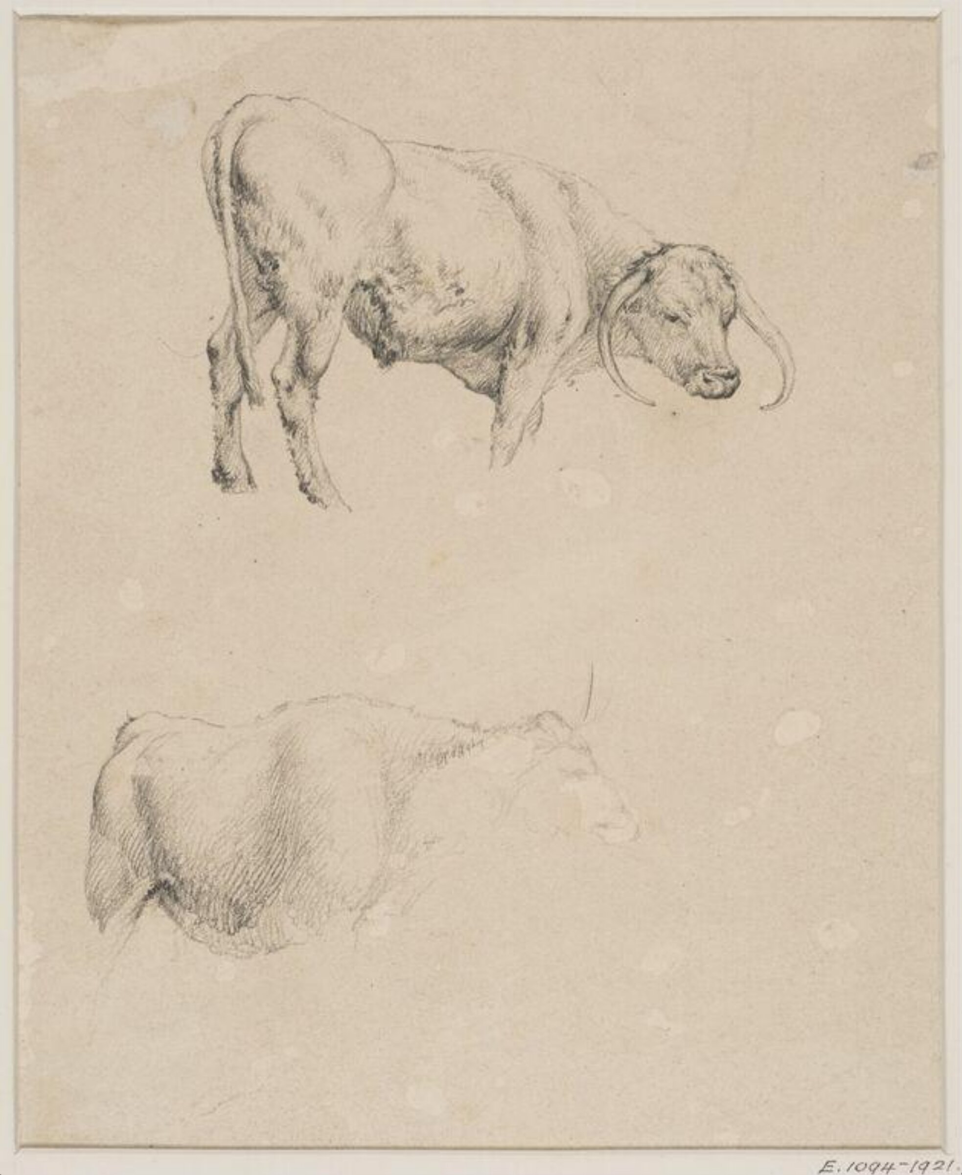 Drawing, Robert Hills, c. 1798