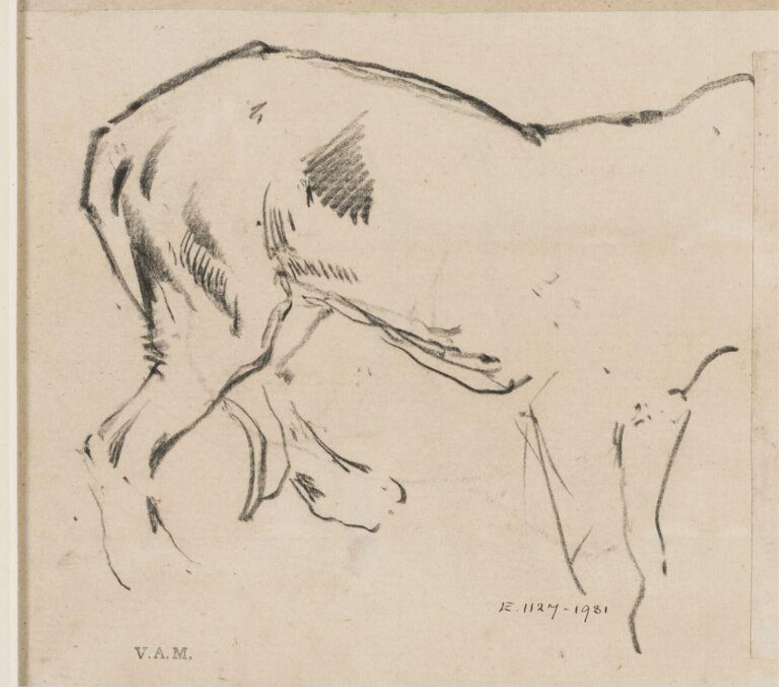 Drawing