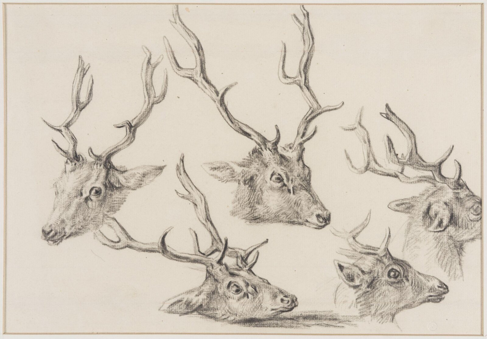 Drawing