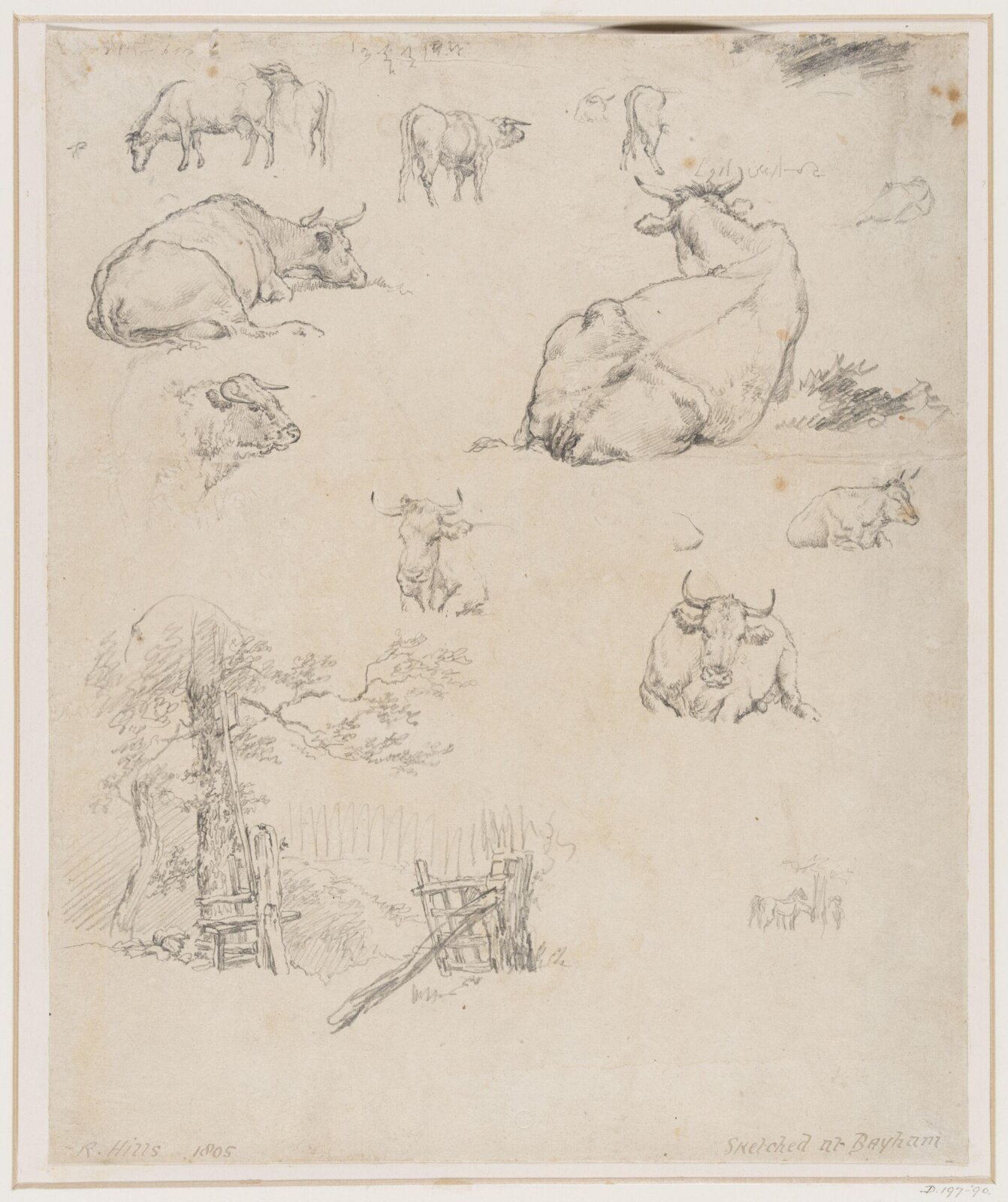 Drawing