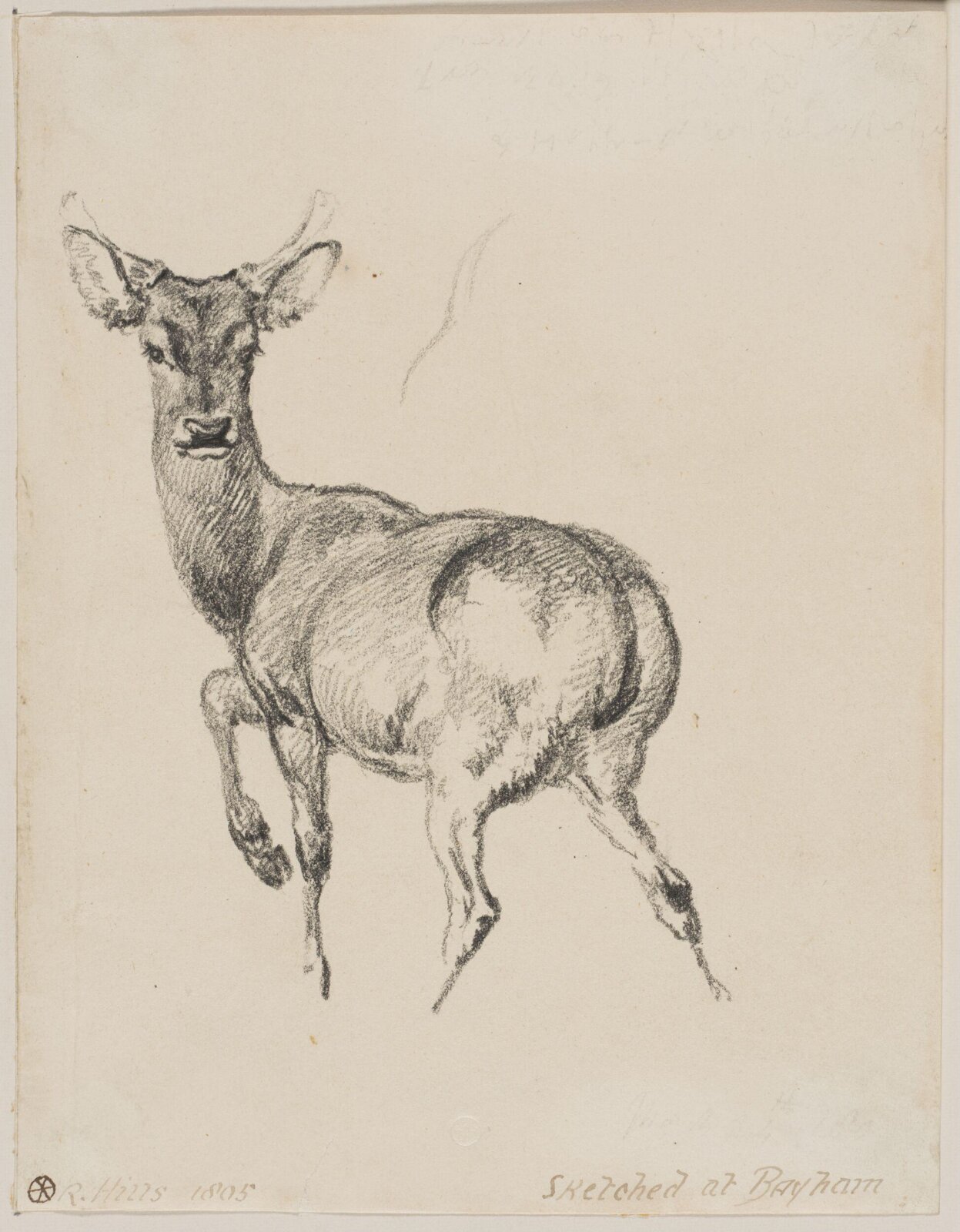Drawing