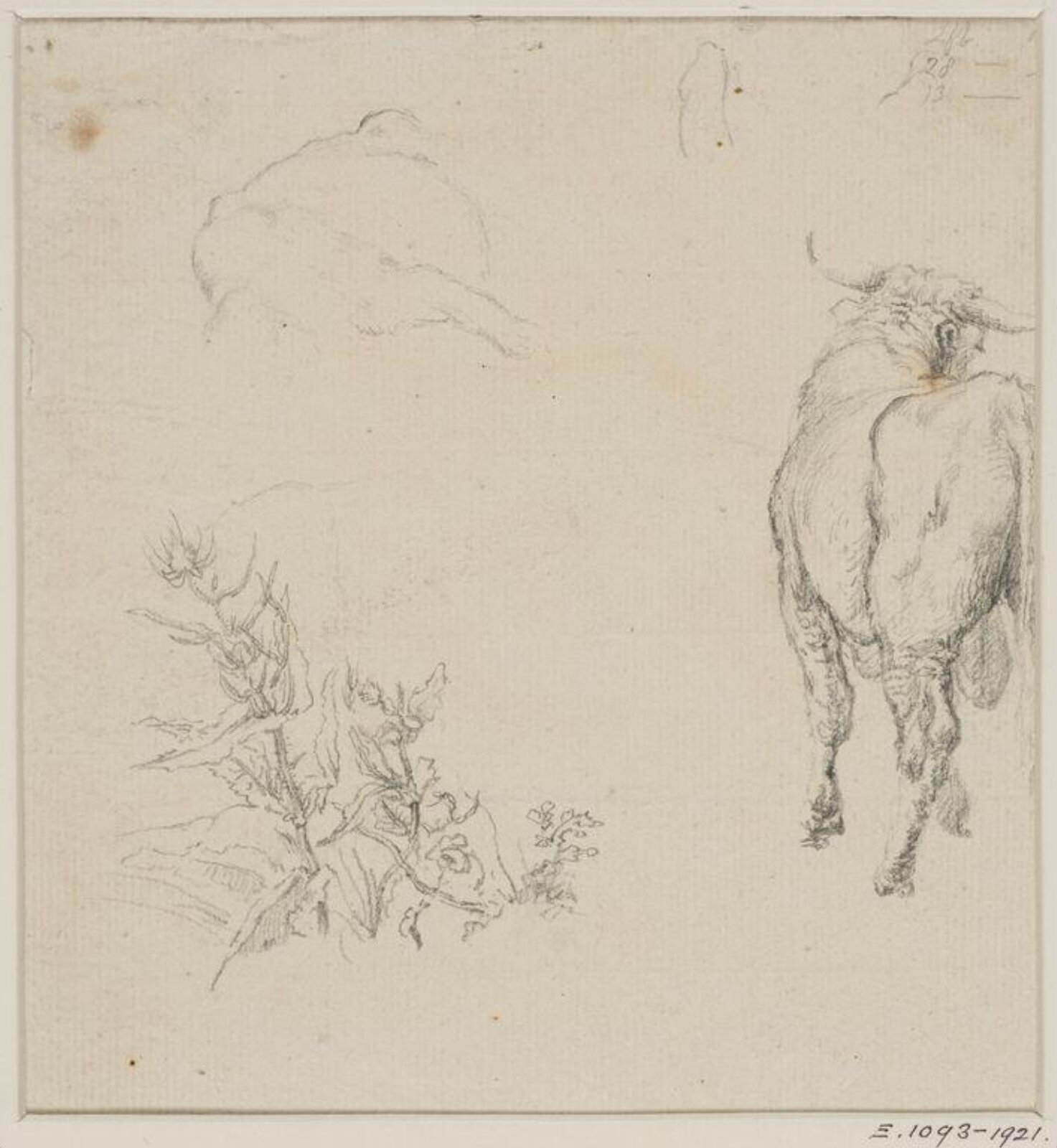 Drawing, Robert Hills, c. 1798