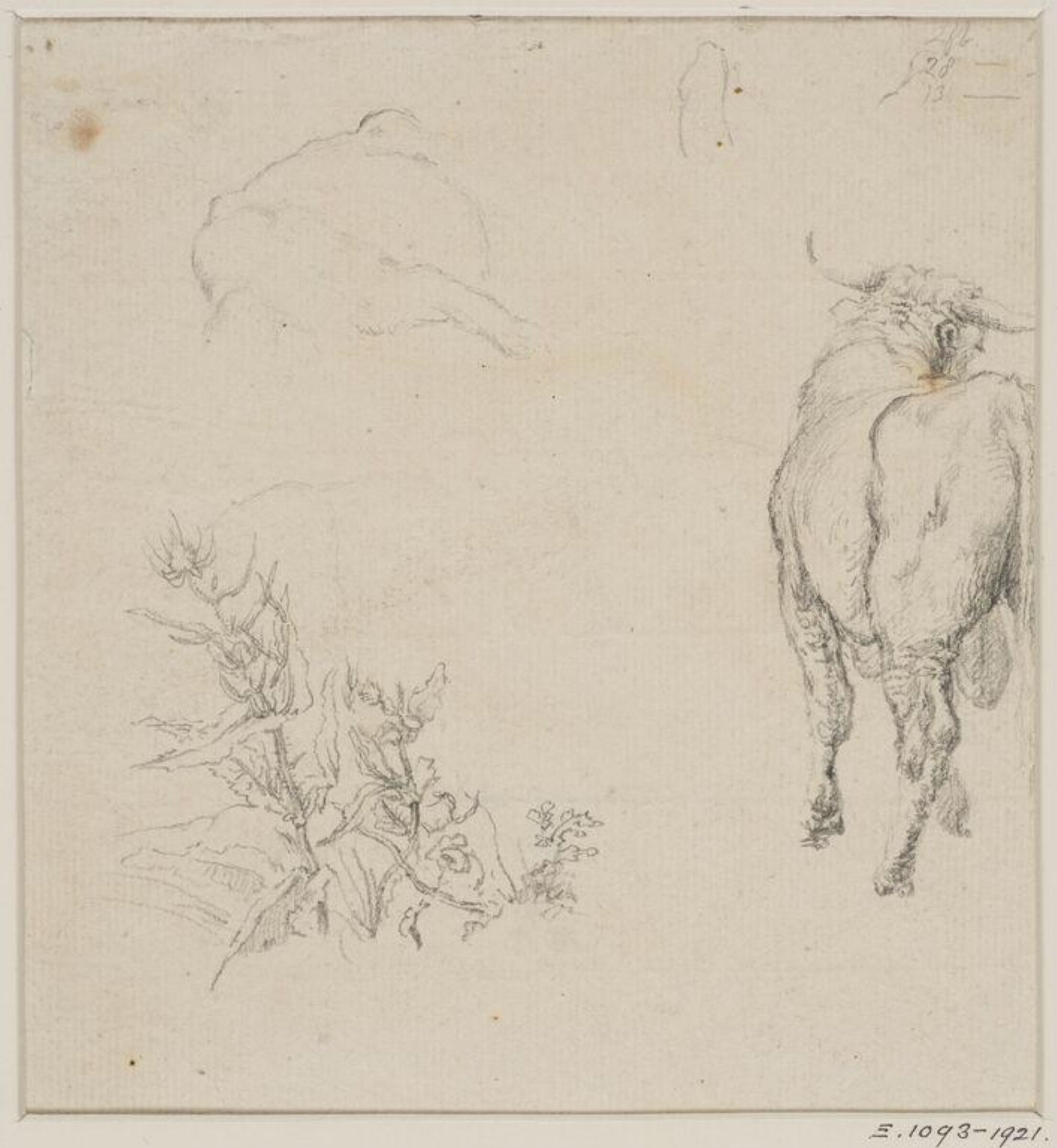 Drawing, Robert Hills, c. 1798
