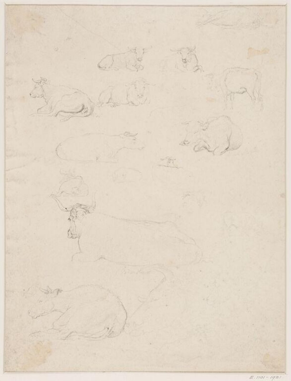Drawing, Robert Hills, c. 1798