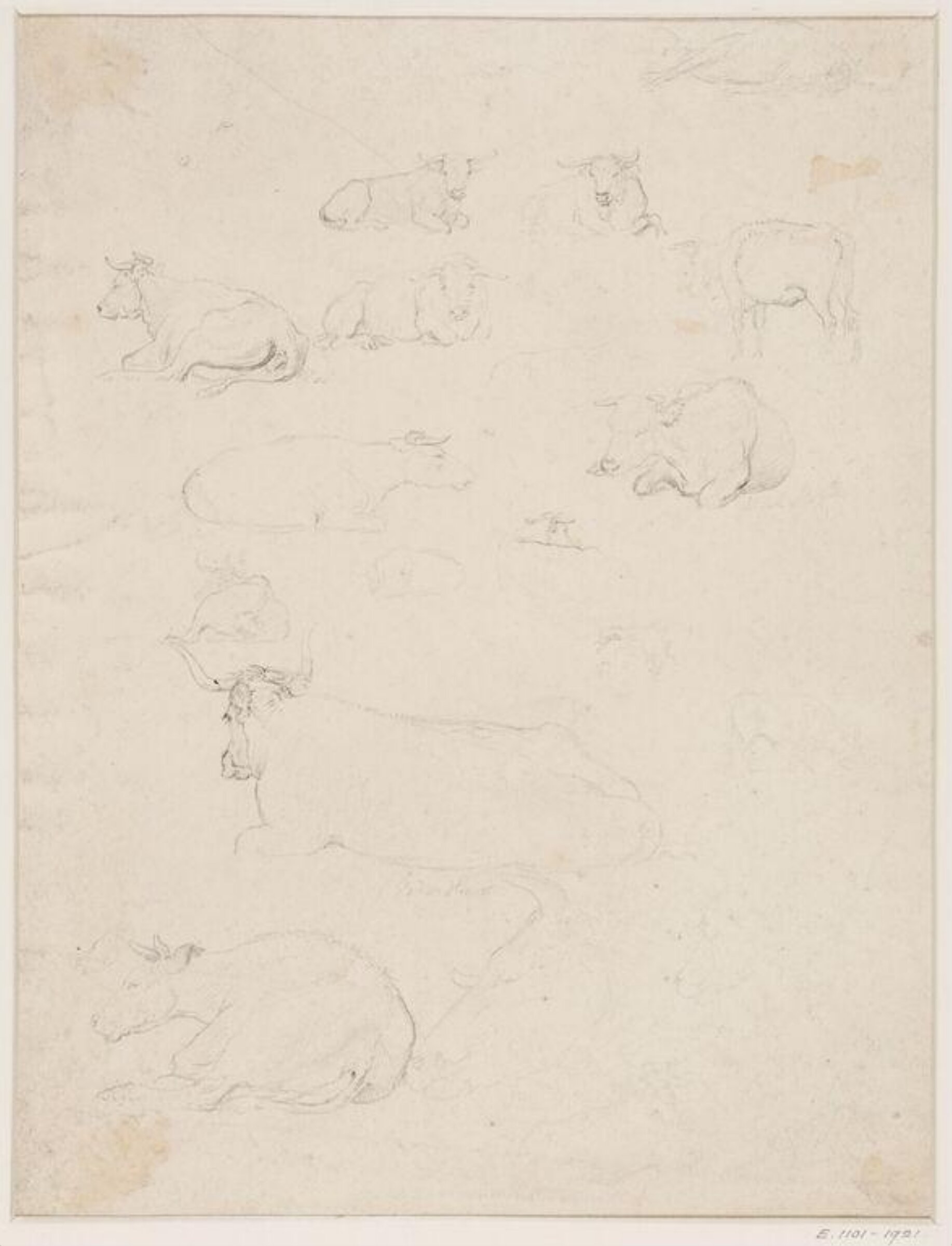 Drawing, Robert Hills, c. 1798
