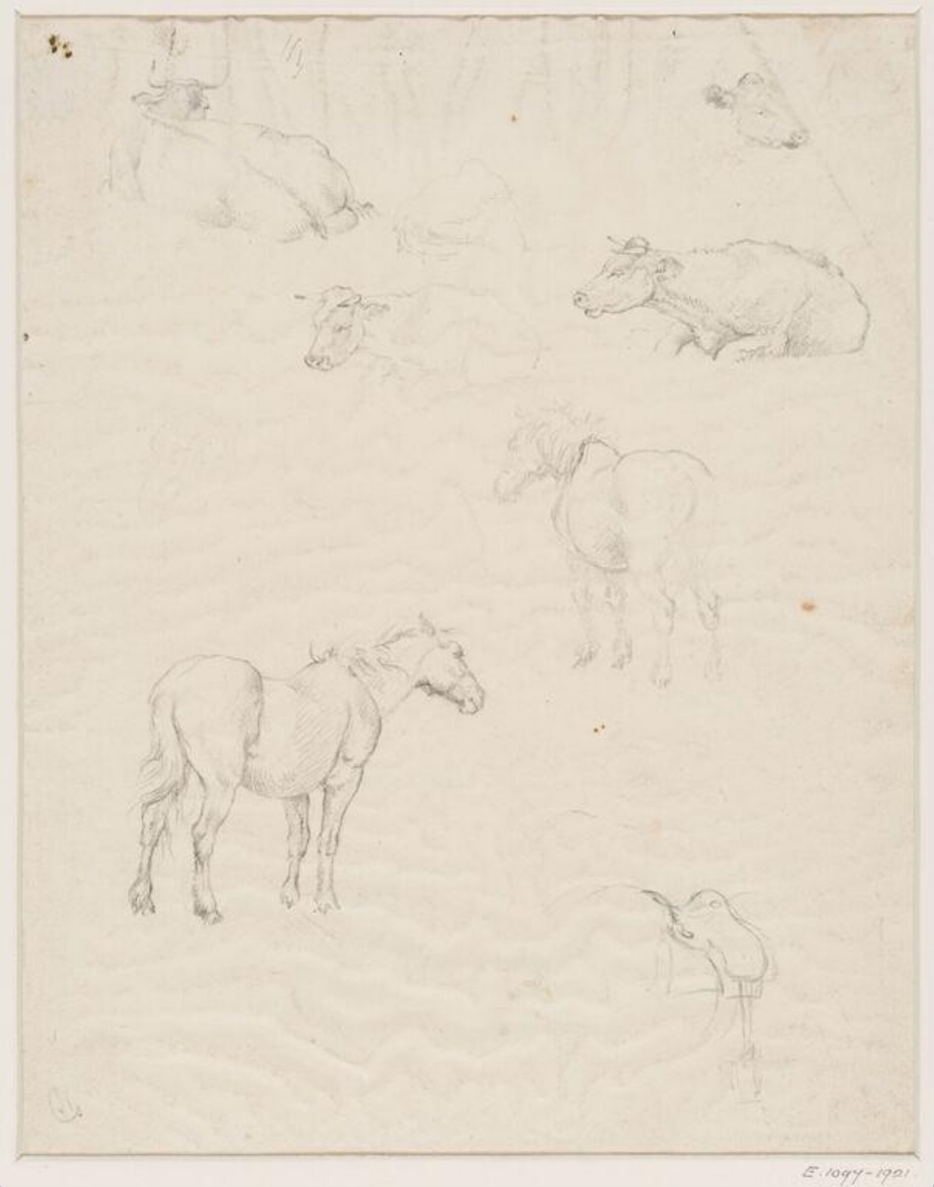 Drawing, Robert Hills, c. 1798