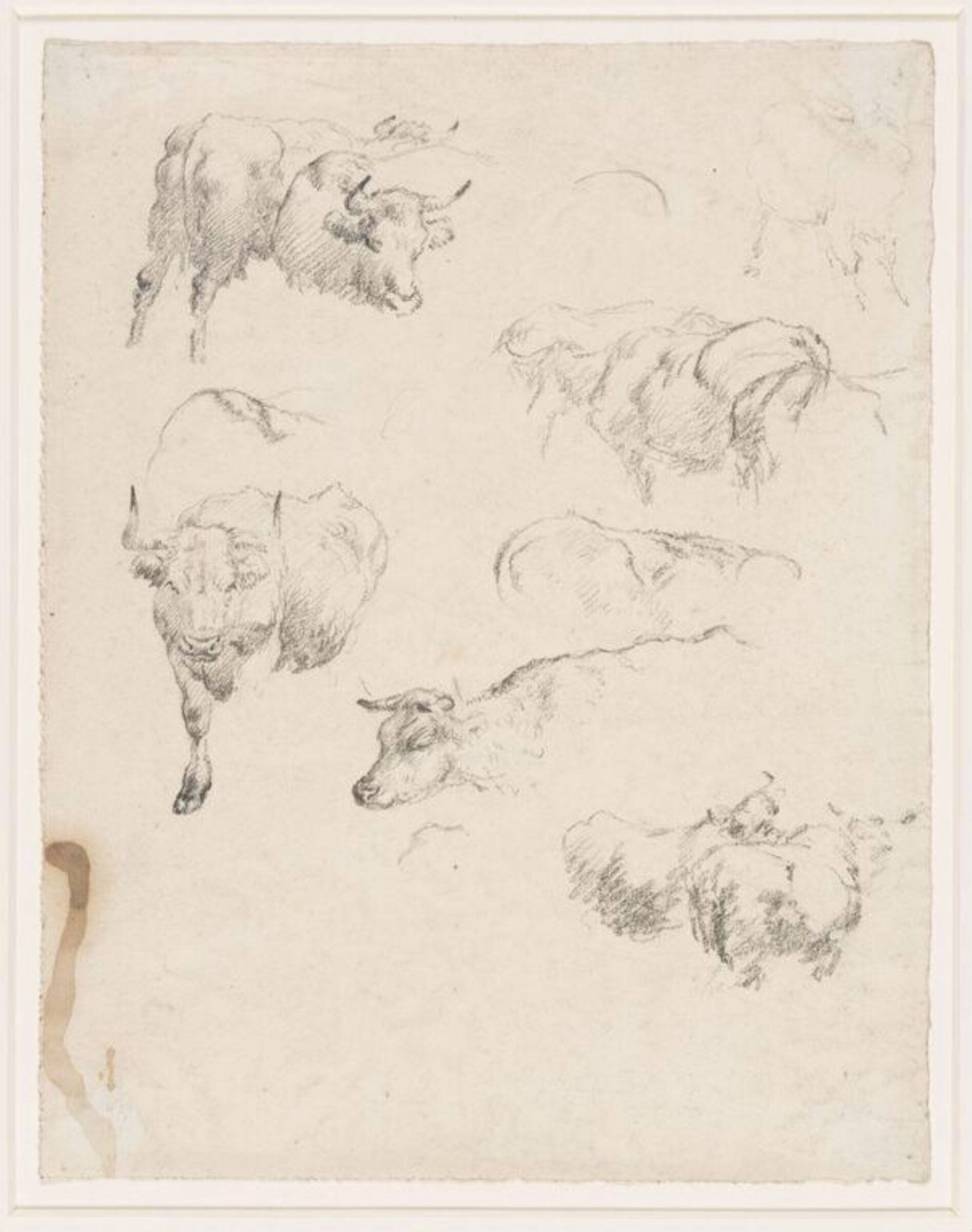 Drawing, Robert Hills, c. 1798