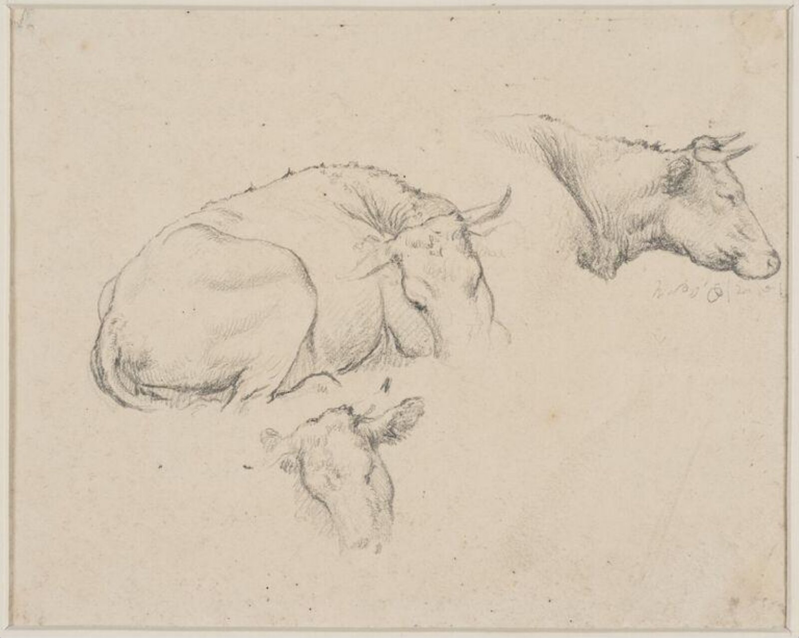 Drawing, Robert Hills, c. 1798