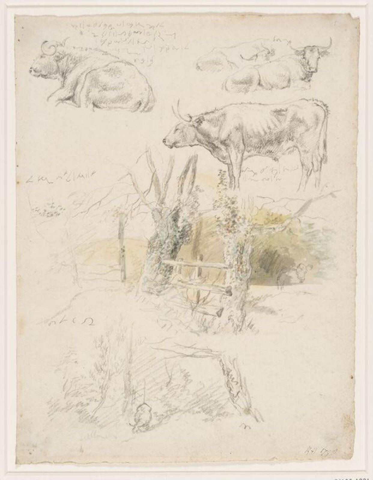 Drawing, Robert Hills, c. 1798