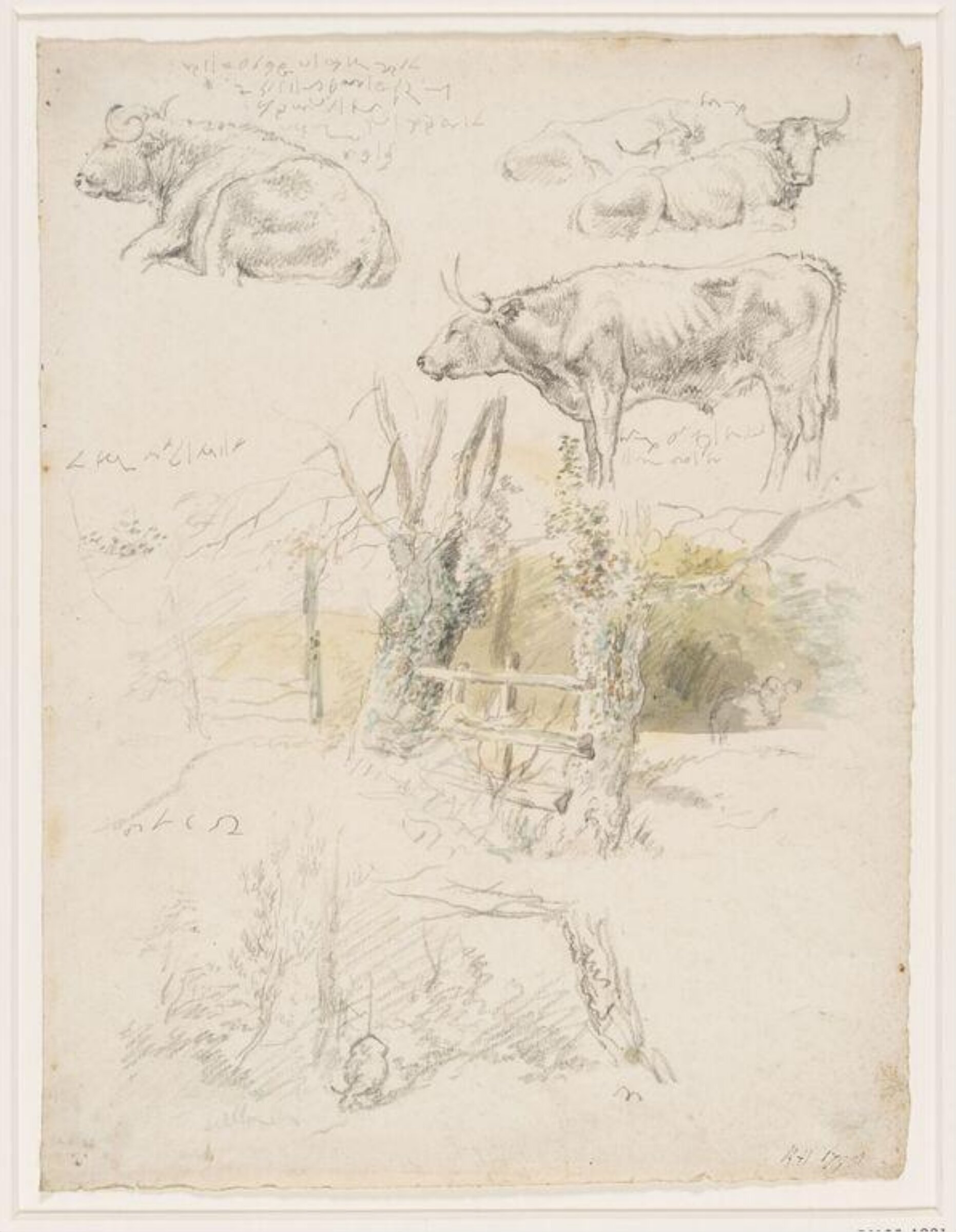 Drawing, Robert Hills, c. 1798