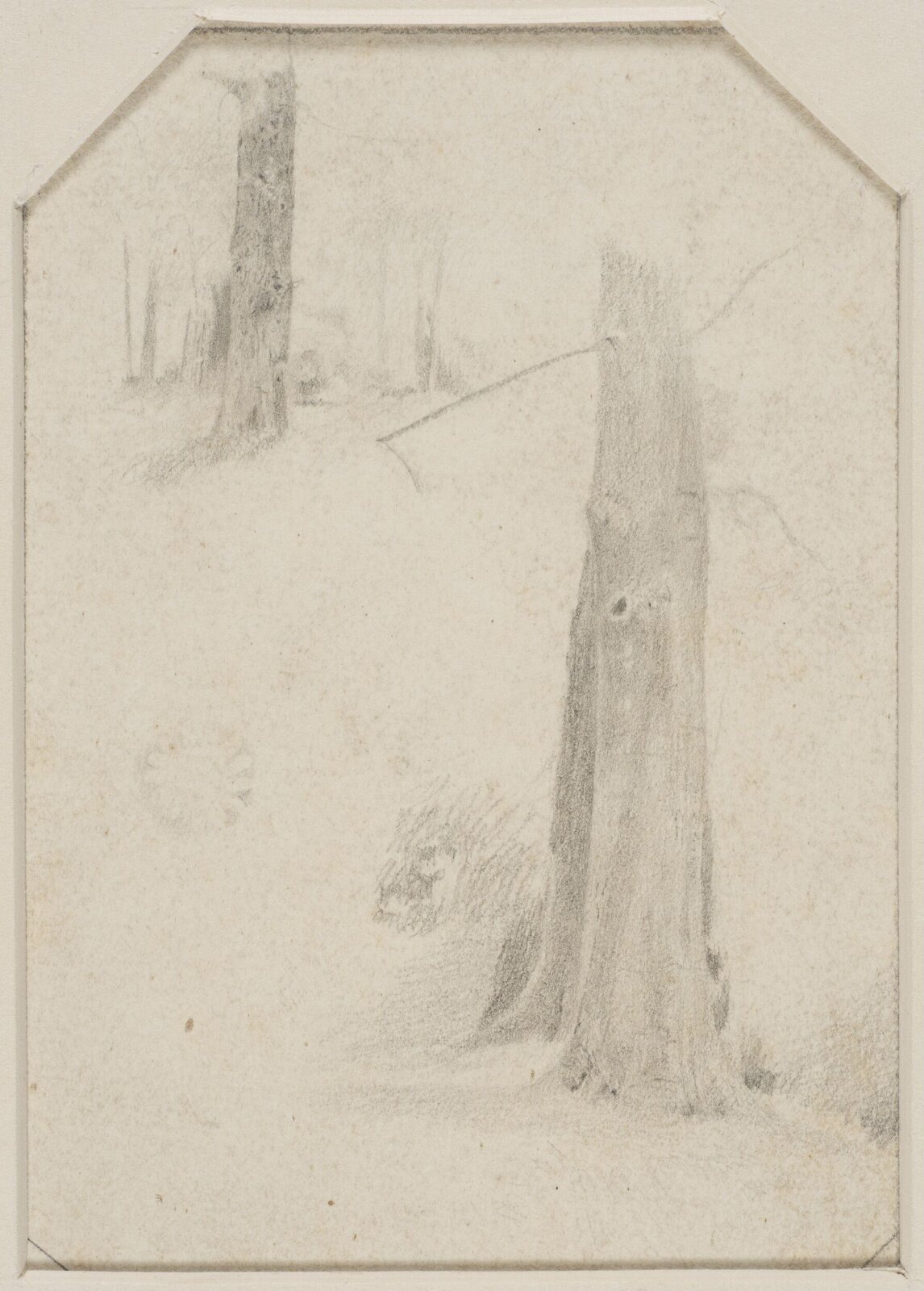 Drawing, John William North, ca. 1859